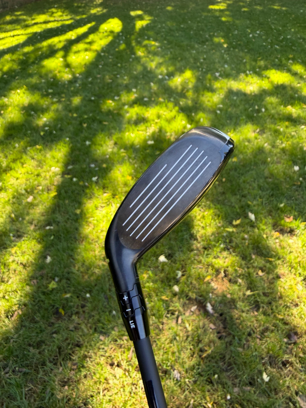 Callaway Quantum Max Fast 4 Hybrid 22° Vanquish R2 Senior Flex 40" +HC MINT — photo 2