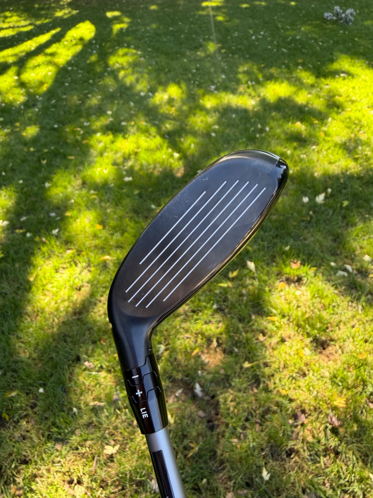 Callaway Quantum Max OS 4 Hybrid 20° Denali Silver Regular Flex 40" +HC NICE — photo 2