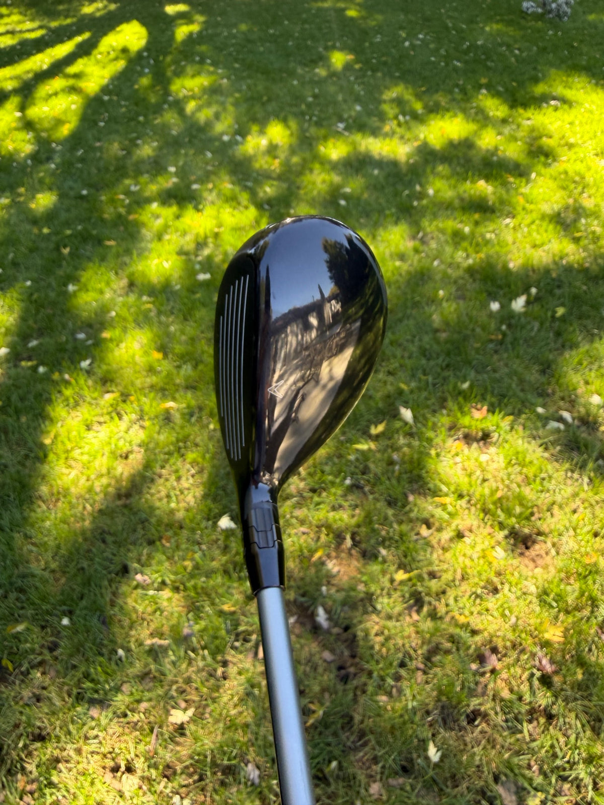 Callaway Quantum Max OS 4 Hybrid 20° Denali Silver Regular Flex 40" +HC NICE — photo 3