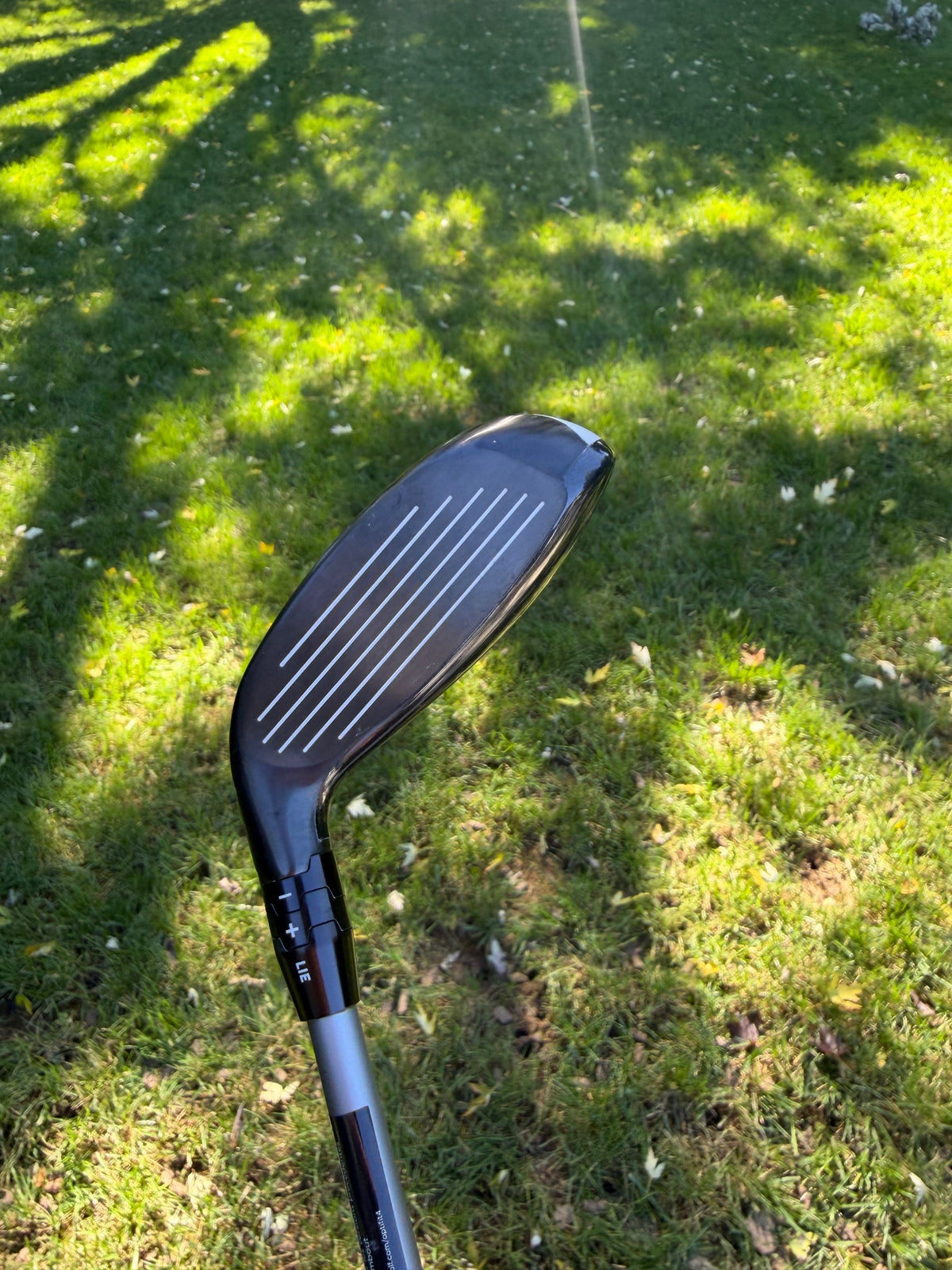Callaway Quantum Max 5 Hybrid 24° Denali Silver Regular Flex 39.25" +HC NICE — photo 2