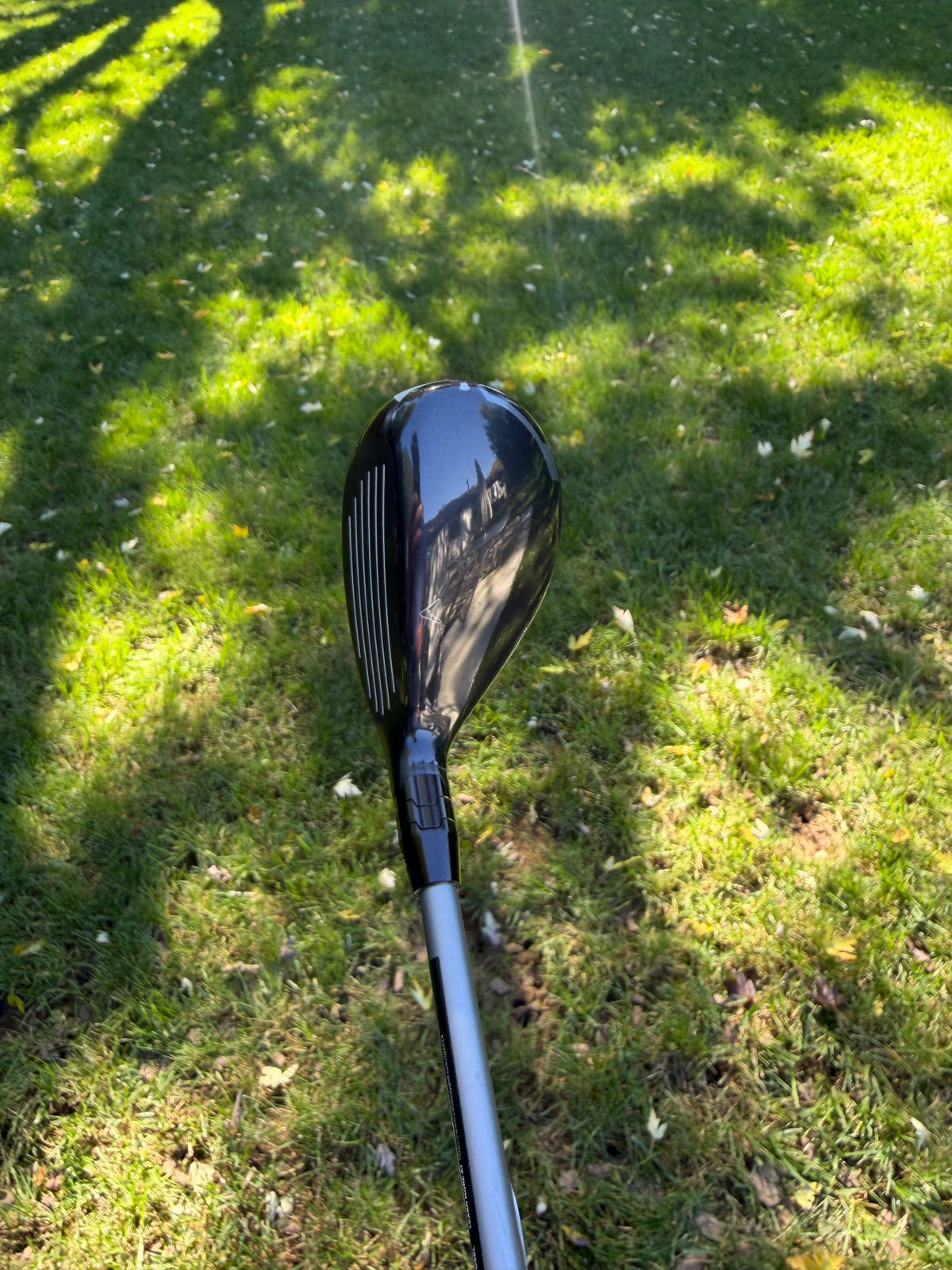 Callaway Quantum Max 5 Hybrid 24° Denali Silver Regular Flex 39.25" +HC NICE — photo 3
