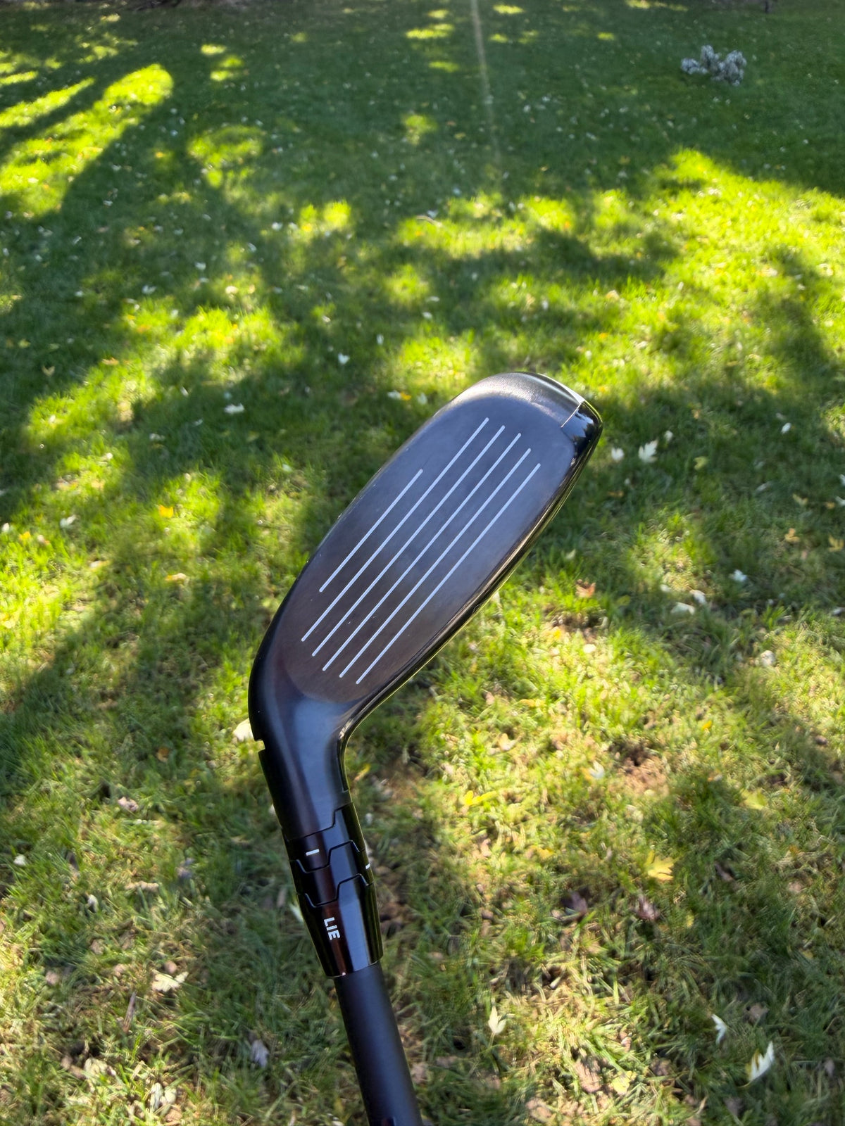 Callaway Quantum Max Fast 5 Hybrid 25° Vanquish R2 Senior Flex 39.5" +HC MINT — photo 2