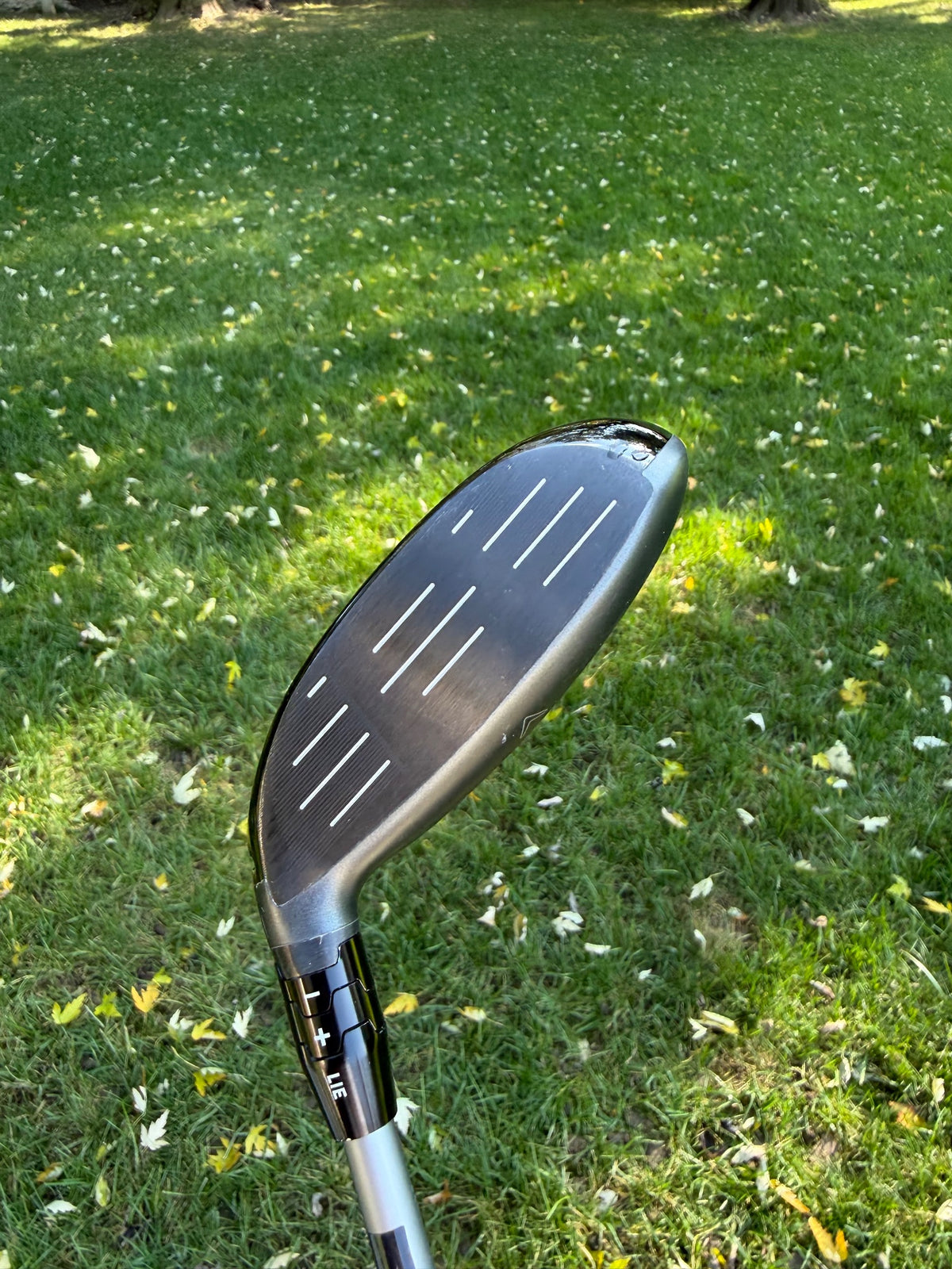Callaway Quantum Max D 3HL-Wood 16.5° Denali Silver Regular Flex 43" +HC NICE — photo 2