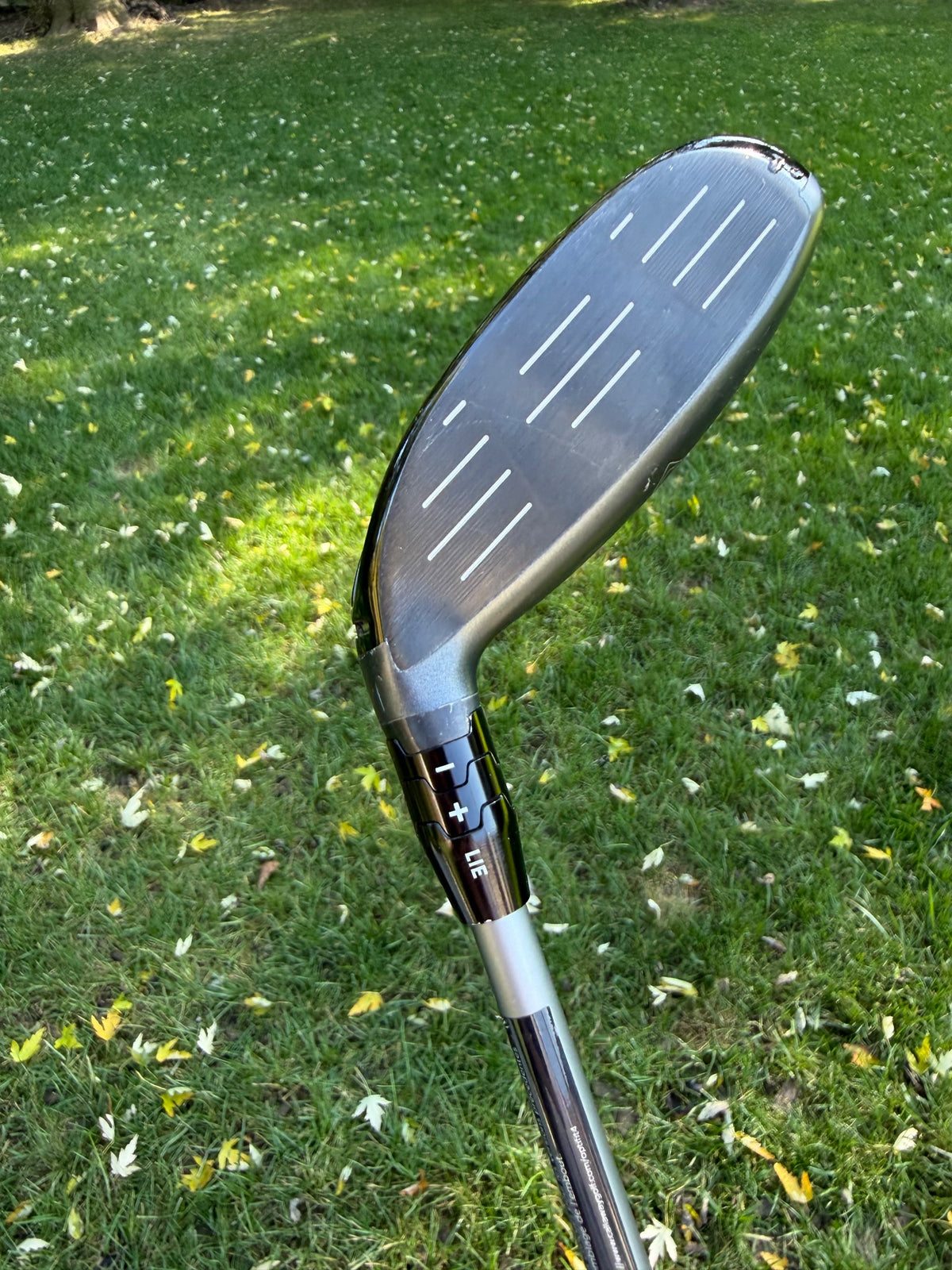 Callaway Quantum Max D 3HL-Wood 16.5° Denali Silver Regular Flex 43" +HC NICE — photo 5