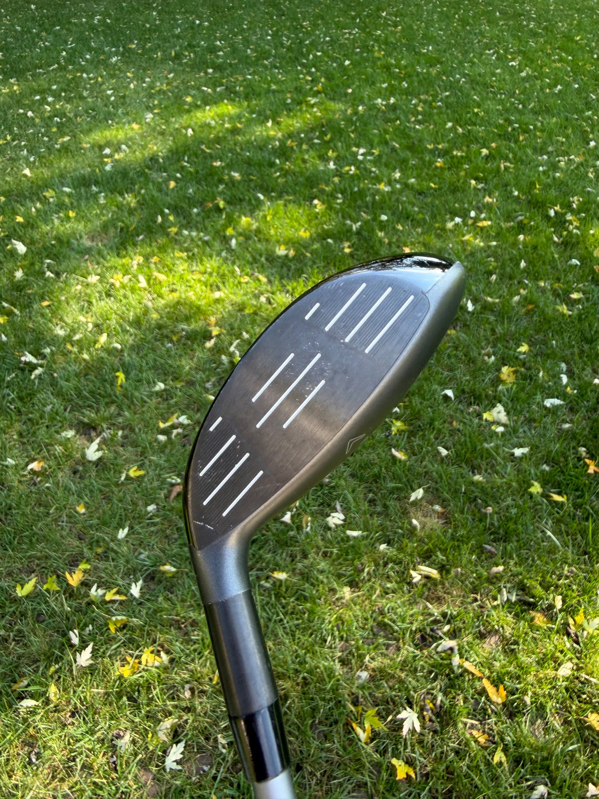 Callaway Quantum Max 7-Wood 21° Denali Frost Silver Stiff Flex 42" +HC NICE — photo 2
