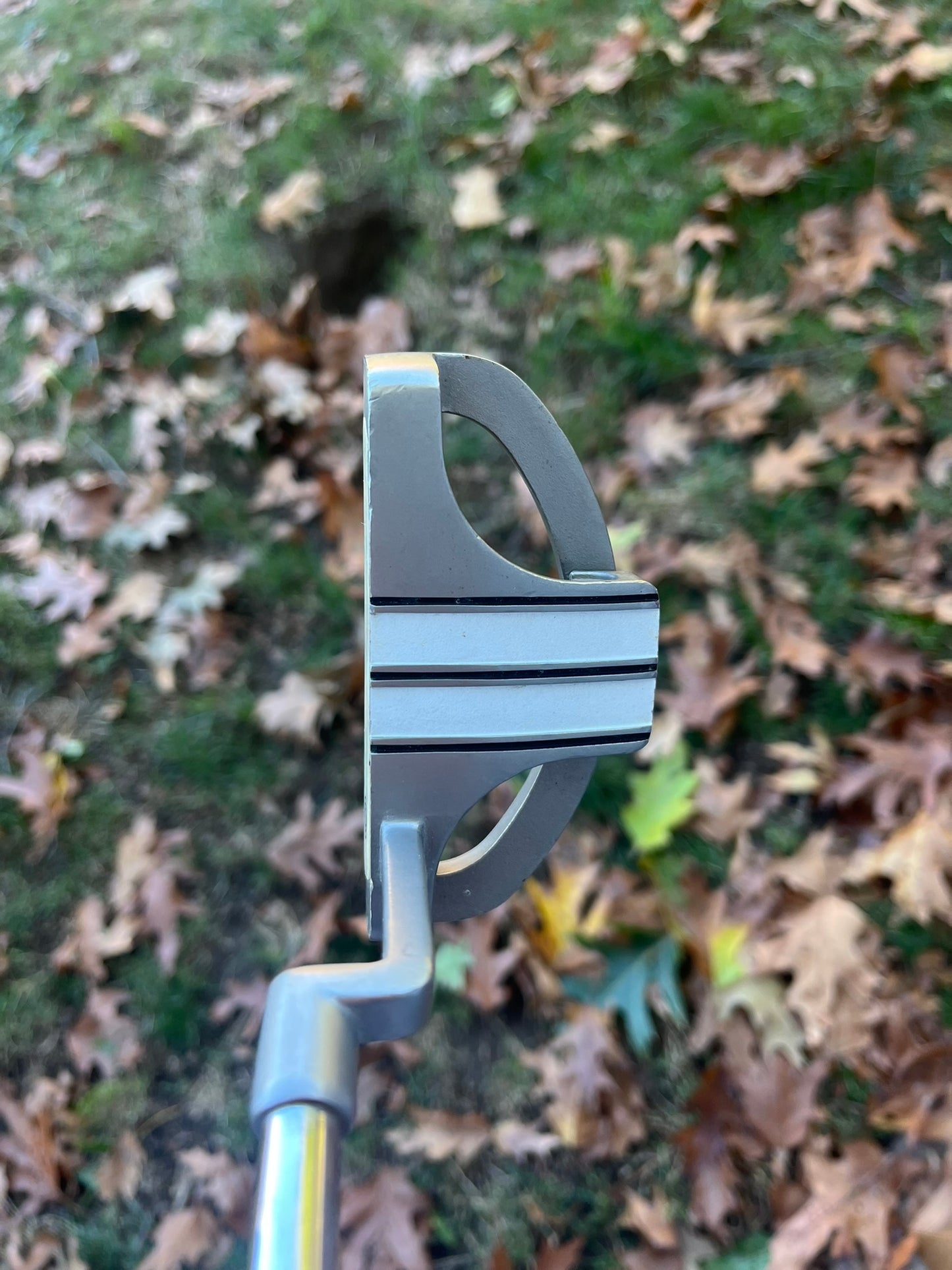 Odyssey Divine Putter 33″