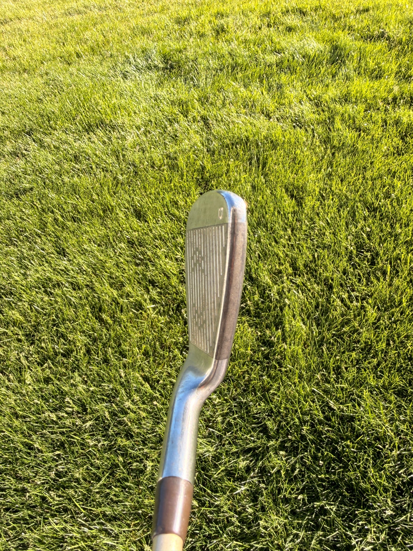 Photo of Excalibur Comp3 5-Iron Ladies Flex Lightweight Tip Control