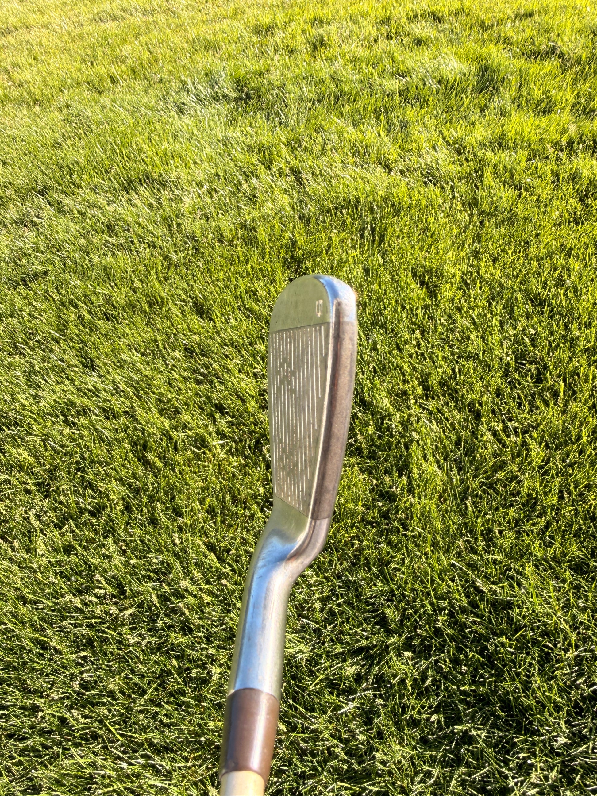 Photo of Excalibur Comp3 5-Iron Ladies Flex Lightweight Tip Control
