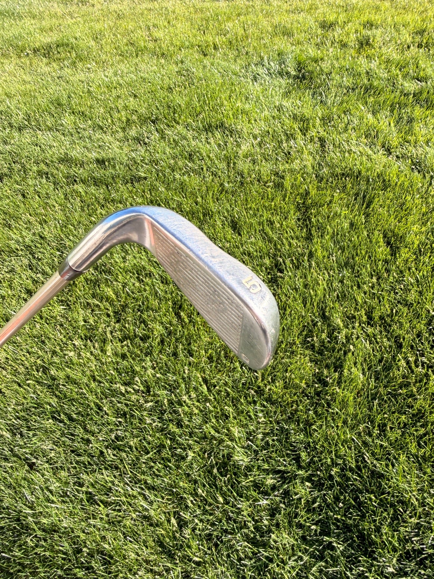 Photo of Excalibur Comp3 5-Iron Ladies Flex Lightweight Tip Control