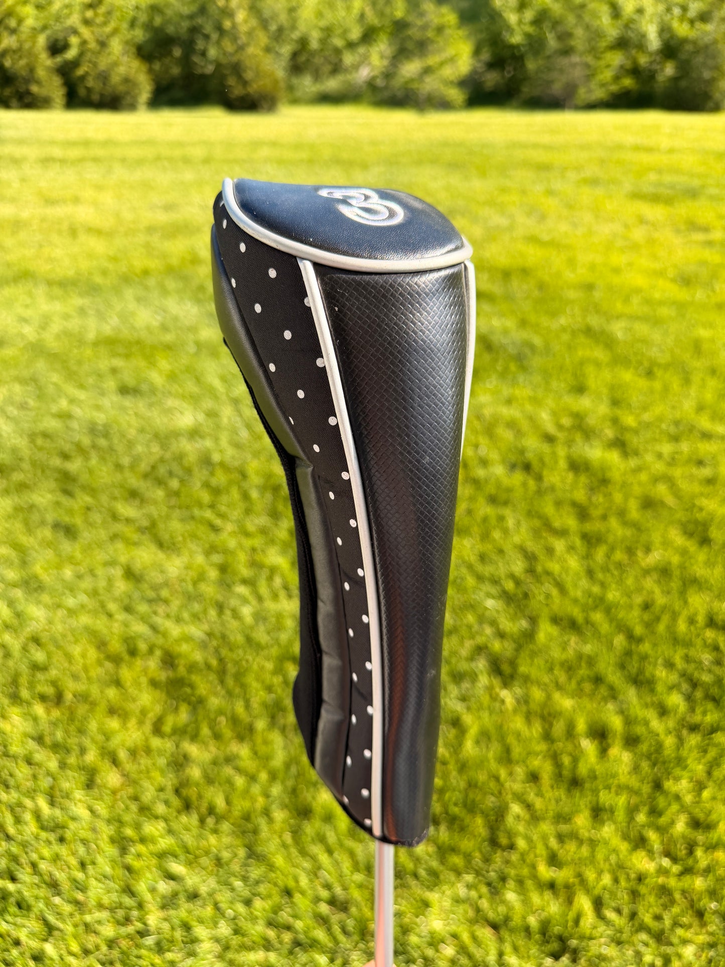 Photo of Dynacraft Lady Genesis 3-Wood 17° Ladies Flex Stock
