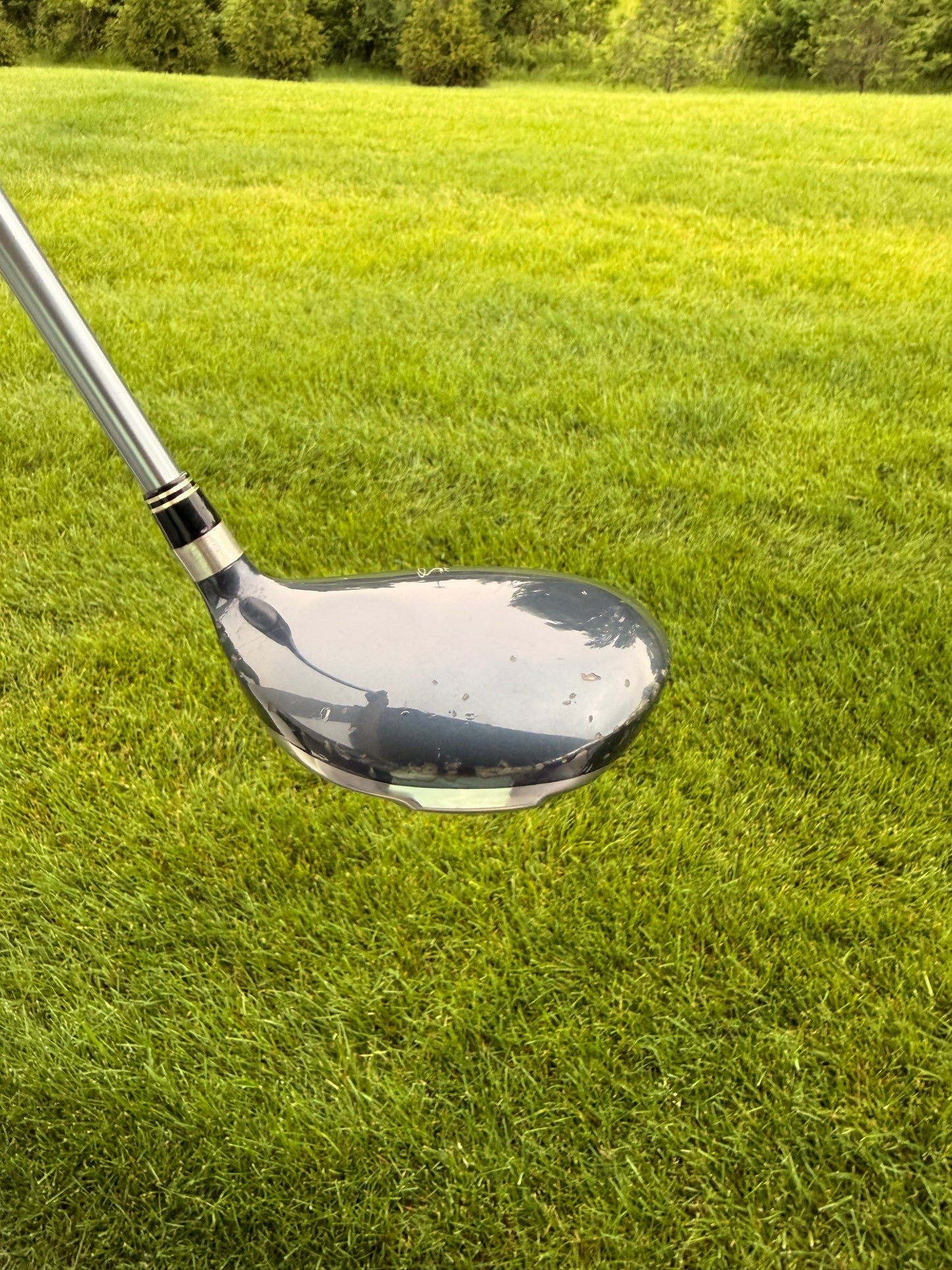 Photo of Cobra SZ Offset 5-Wood Ladies Flex Aldila Hm Tour 50