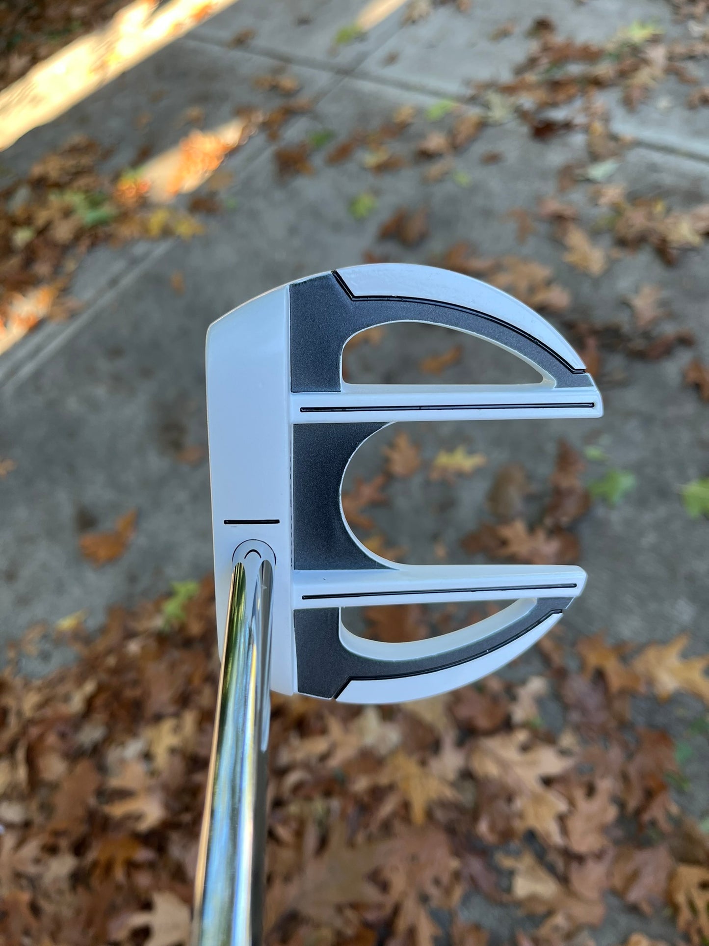 Tour Edge HP Series CBAL-2 Putter 38″ +HC NICE