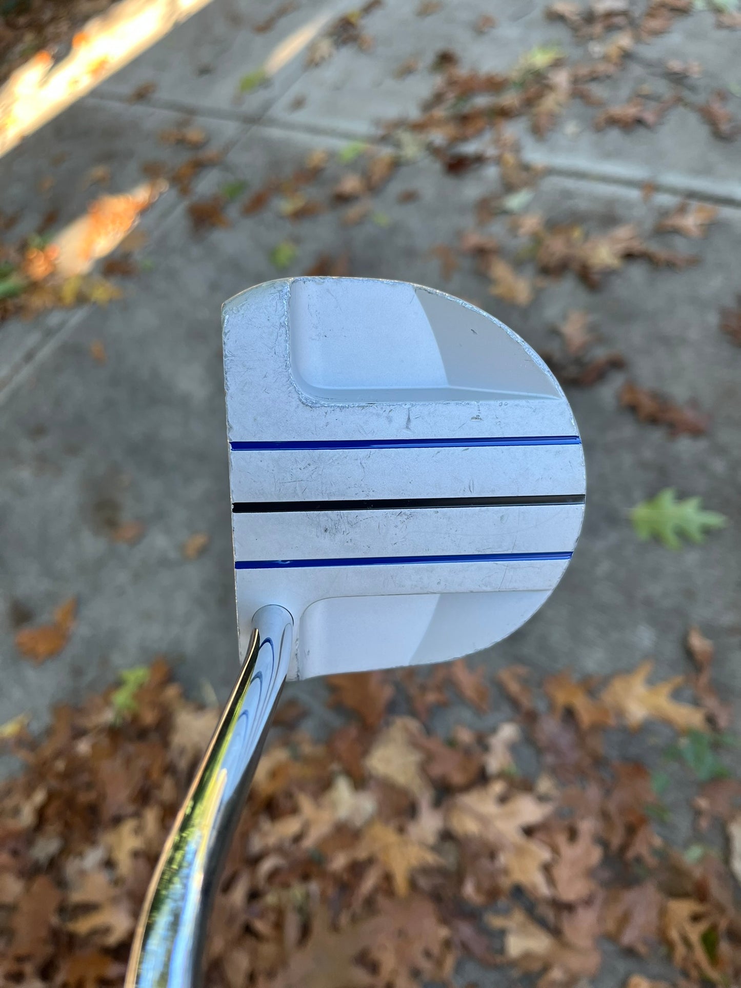 XXIO MI-8000 Putter 33.75″ +HC