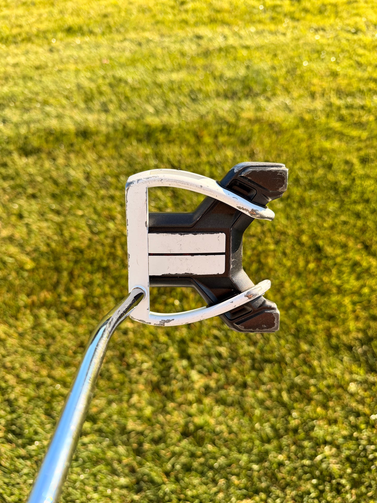 TaylorMade Daddy Long Legs Putter Stock 37.75"