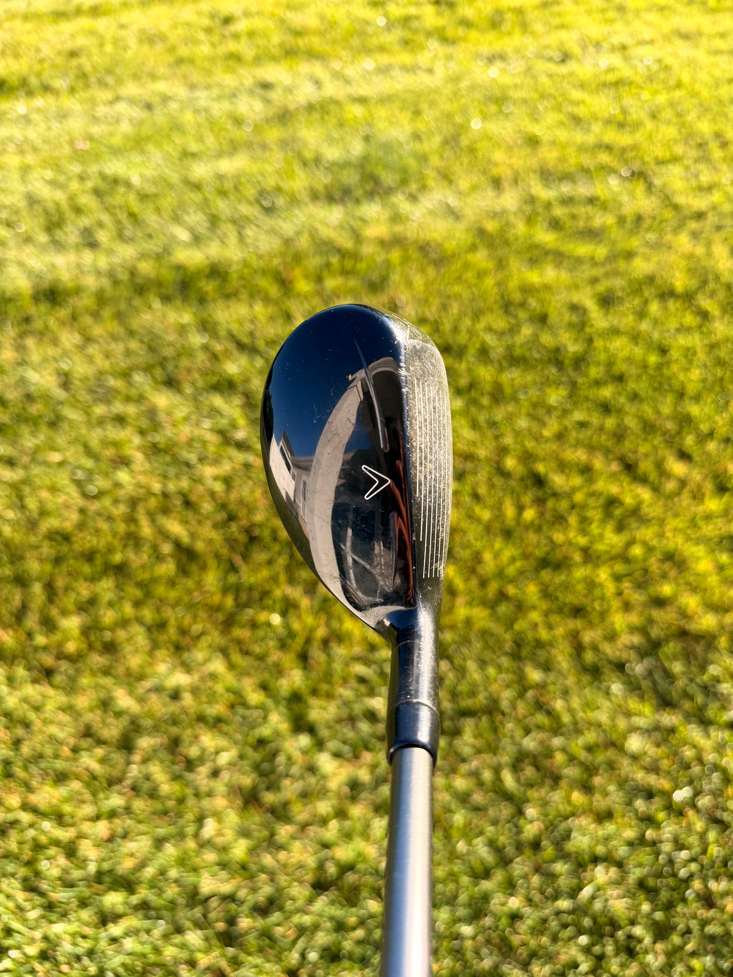 Callaway Rogue 5 Hybrid 24° Aldila Synergy 60g Regular Flex Lefty 39.5"