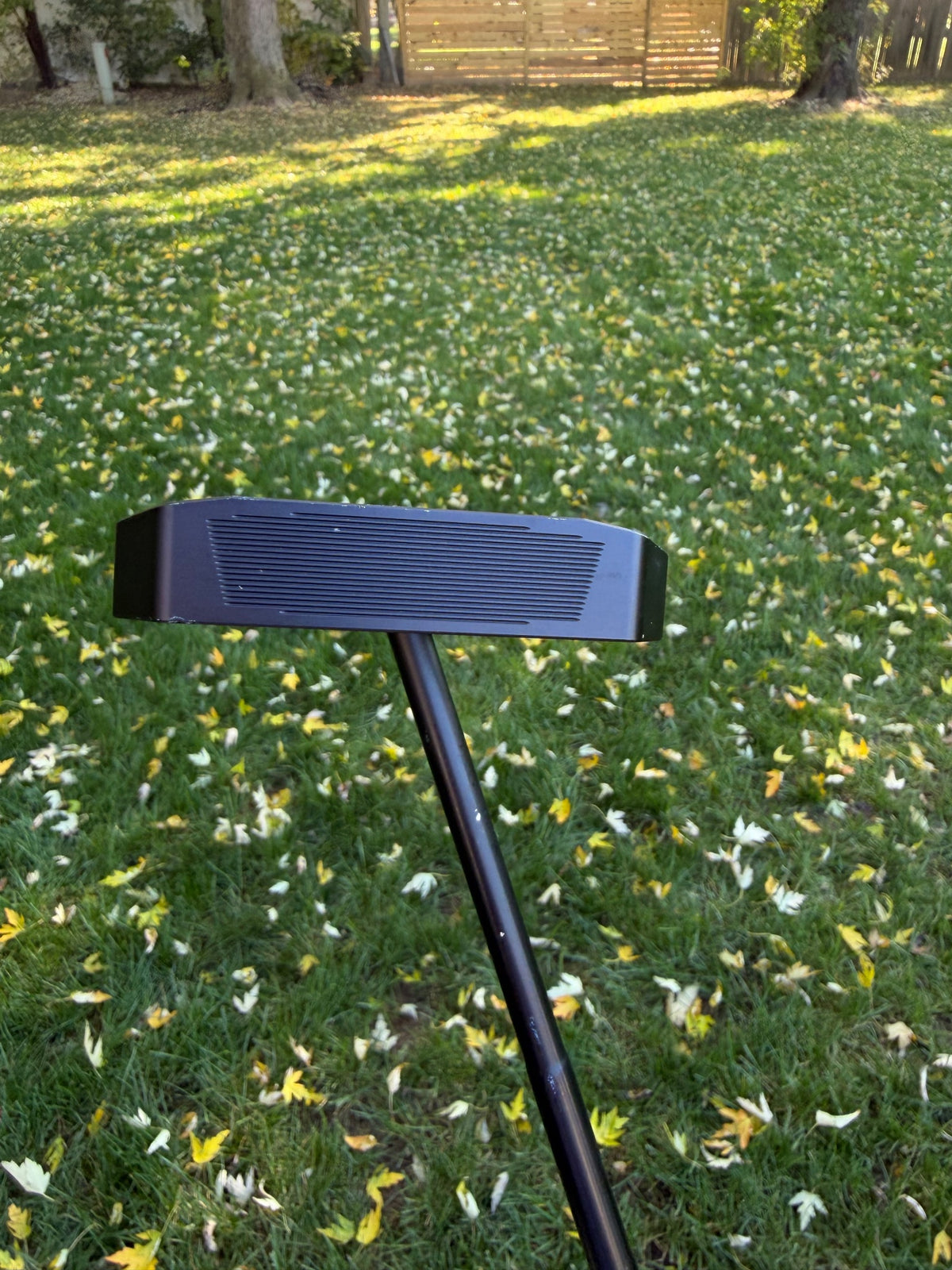 L.A.B. Golf DF3 Putter Lefty 35" +HC — photo 2