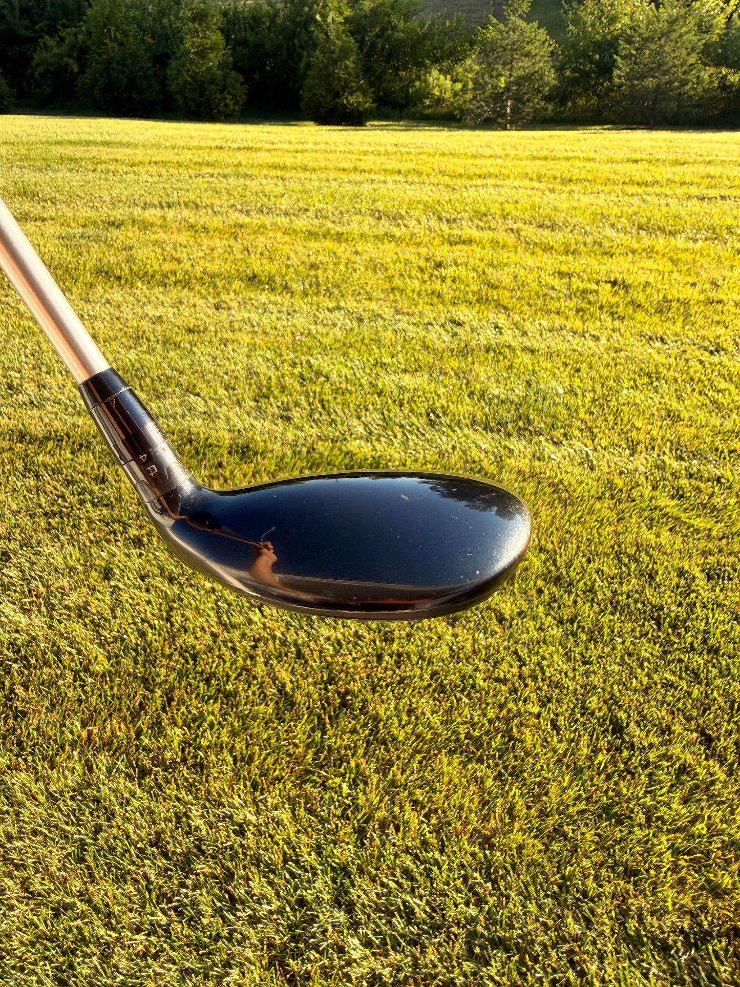Titleist 915 H 3 Hybrid 21° Diamana 70g Stiff Flex 40" NICE