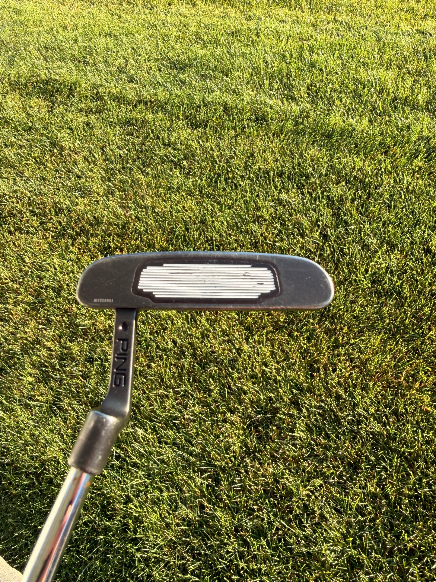 Ping Scottsdale TR Tomcat S Putter Stock 34.5" NICE