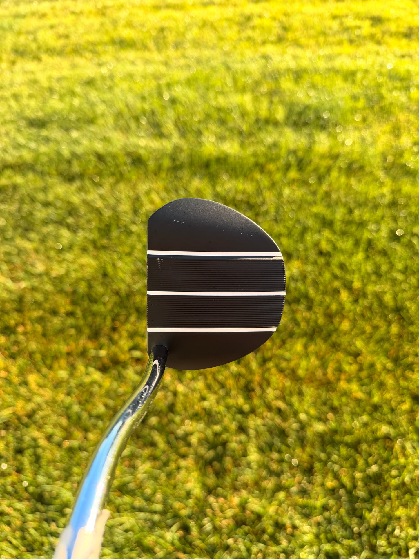 Ping 2023 Mundy Putter Stock 34.5" NICE
