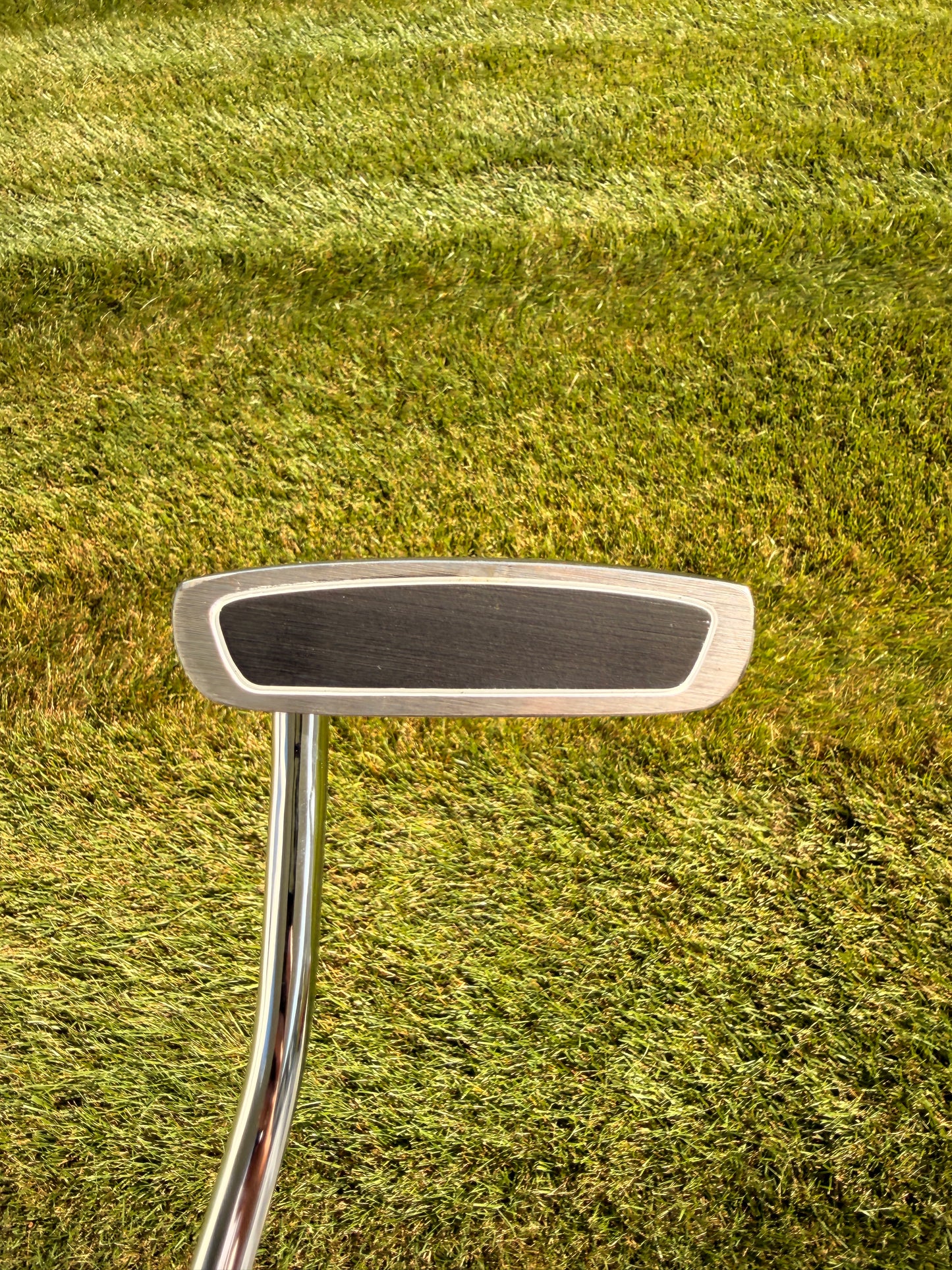 GigaGolf Center Cut Smilodon Putter 35" NICE