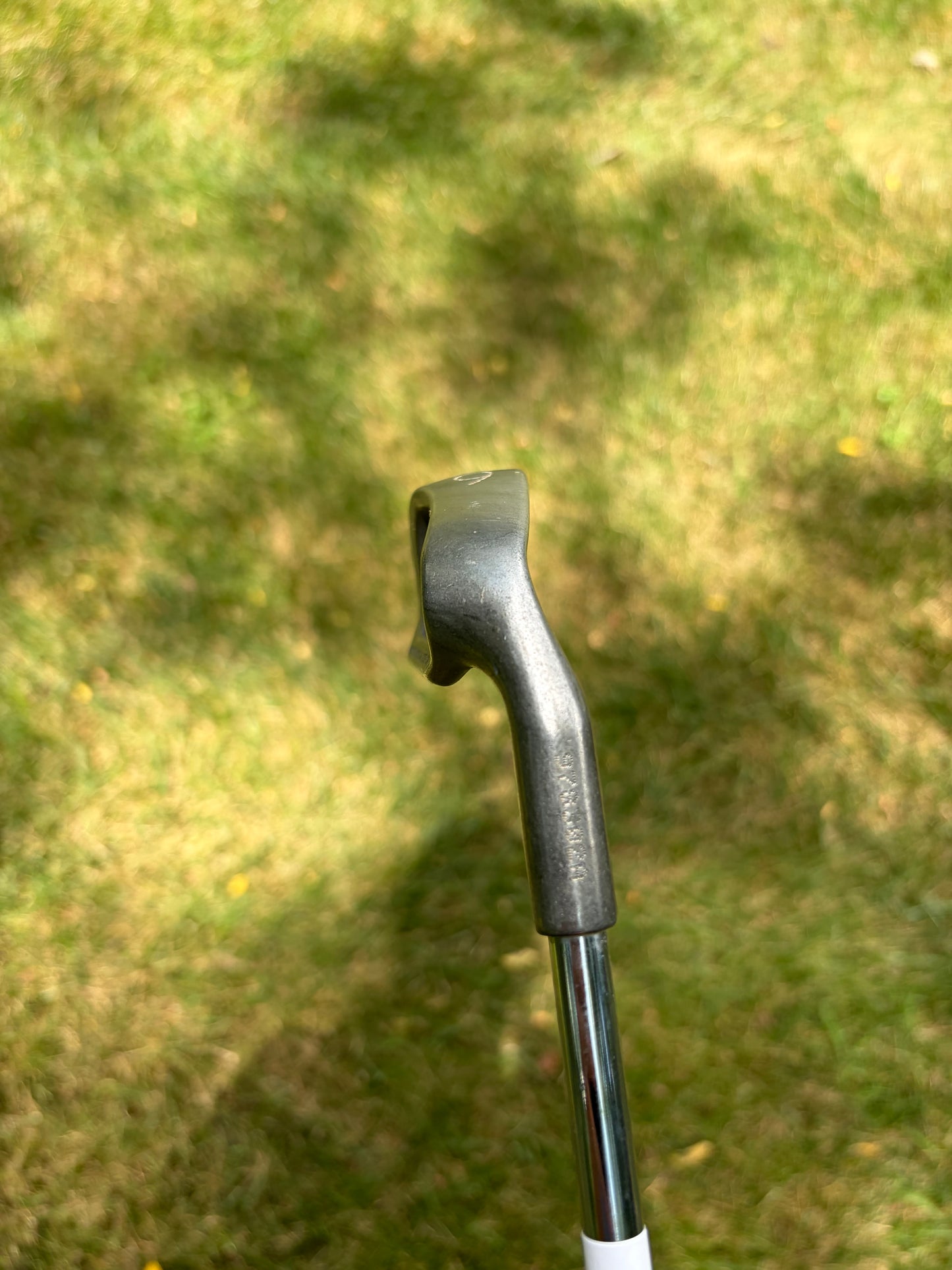 Ping EYE2 6-Iron ZZ LIte Regular Flex 37"