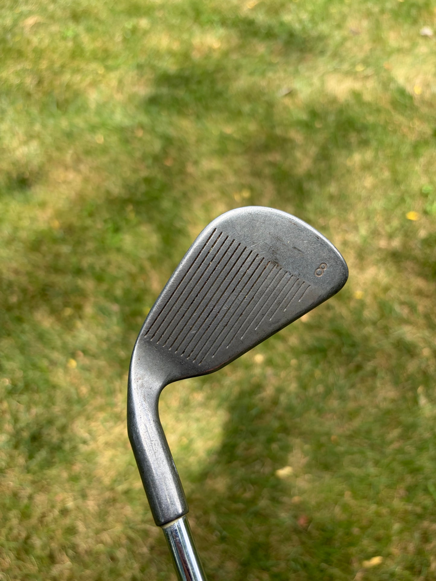 Ping EYE2 8-Iron ZZ LIte Regular Flex 35.5"