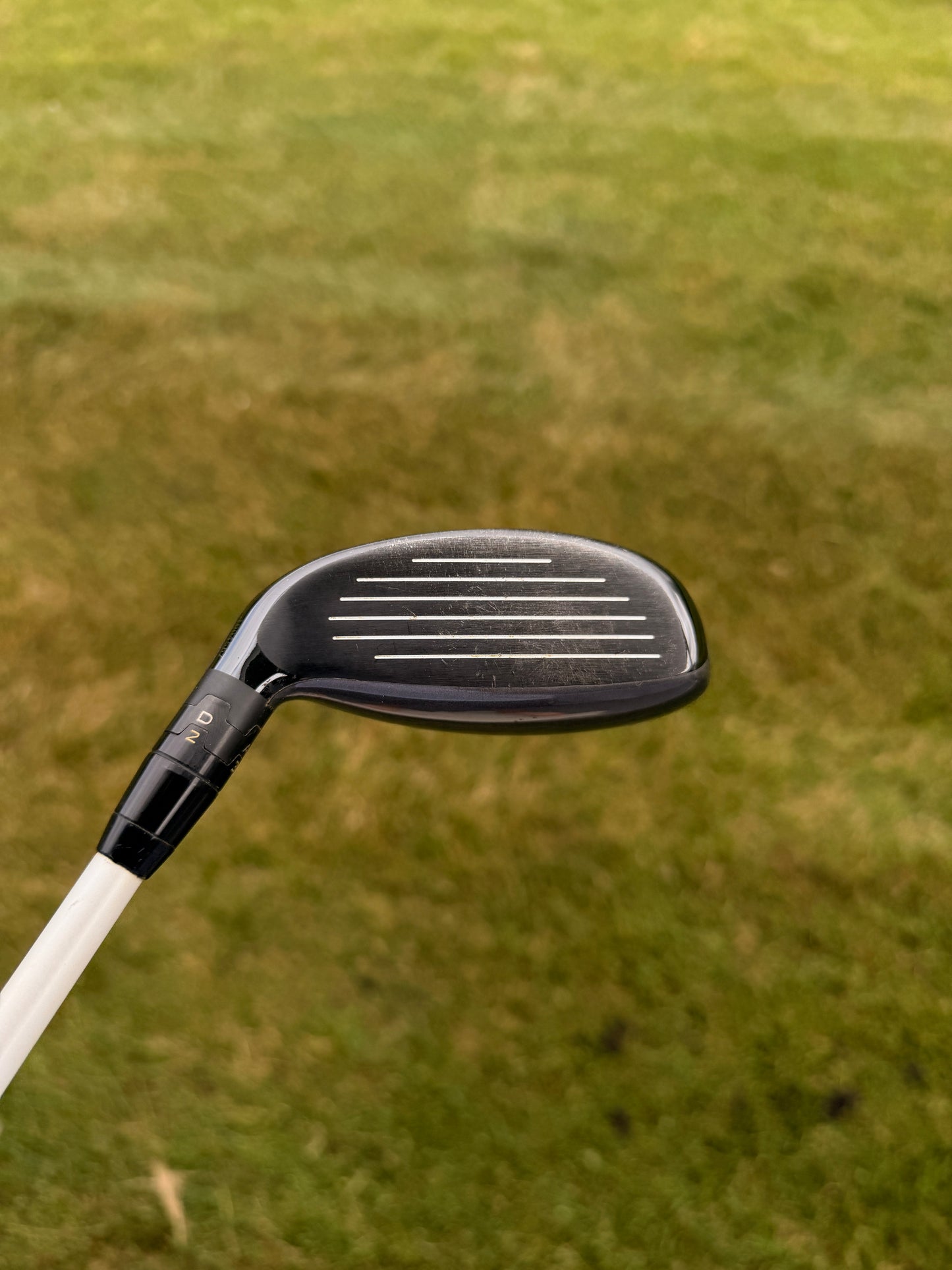 Titleist 816 H1 3 Hybrid 19° Motore Speeder Stiff Flex 40.25" +HC NICE