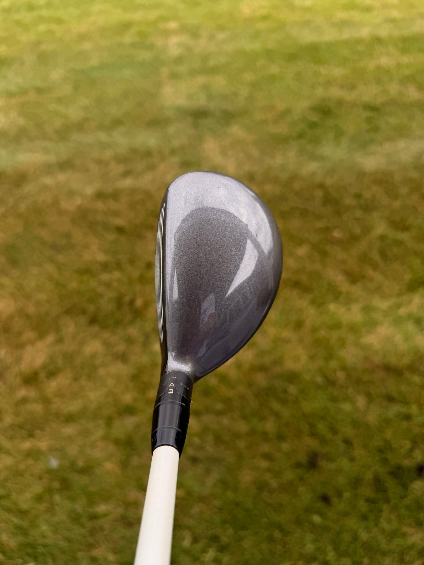 Titleist 816 H1 3 Hybrid 19° Motore Speeder Stiff Flex 40.25" +HC NICE