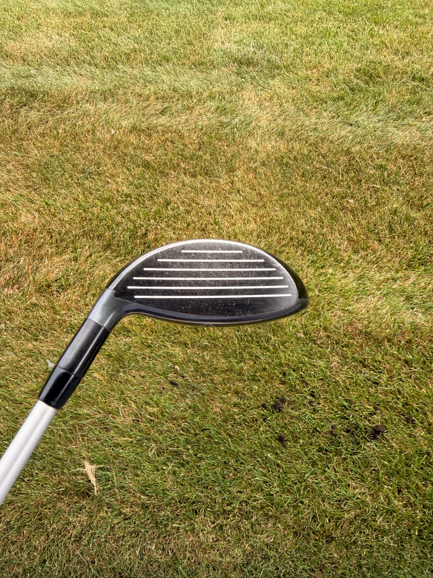 Callaway X2 Hot Womens 9-Wood Aldila Ladies Flex 40.75" +HC NICE