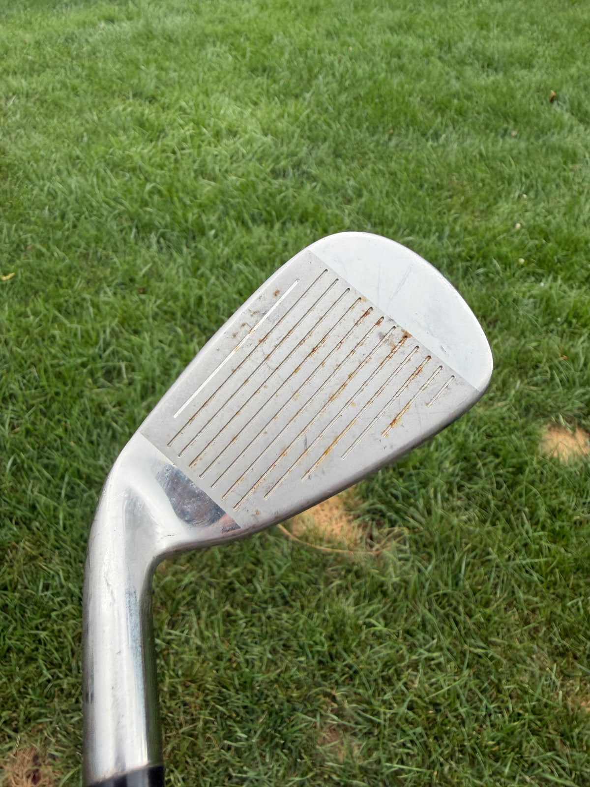 Ray Cook Silver Ray Women's 7-Iron Ladies Flex 36.25" — photo 2