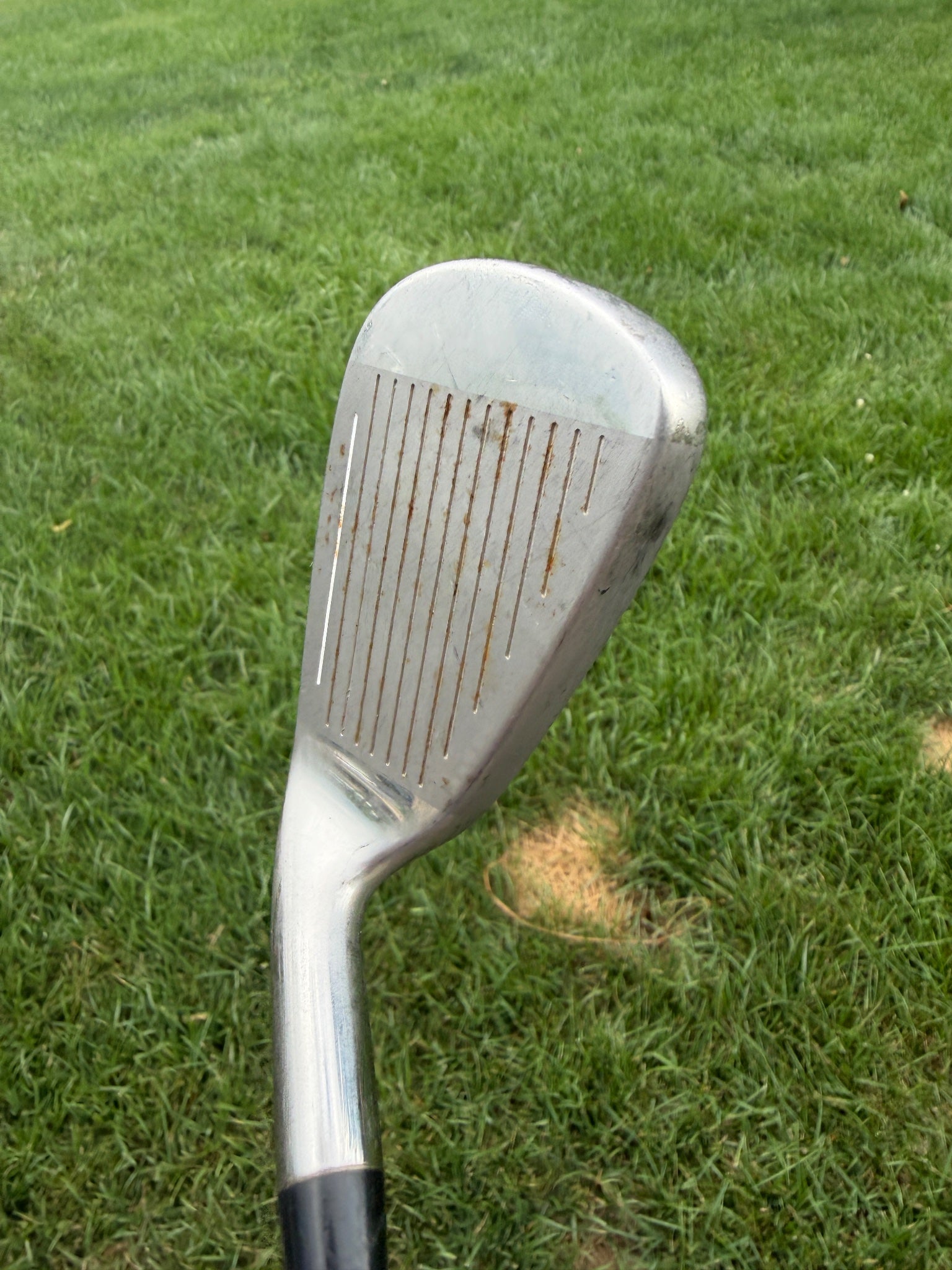 Ray Cook Silver Ray Women's 7-Iron Ladies Flex 36.25" — photo 3