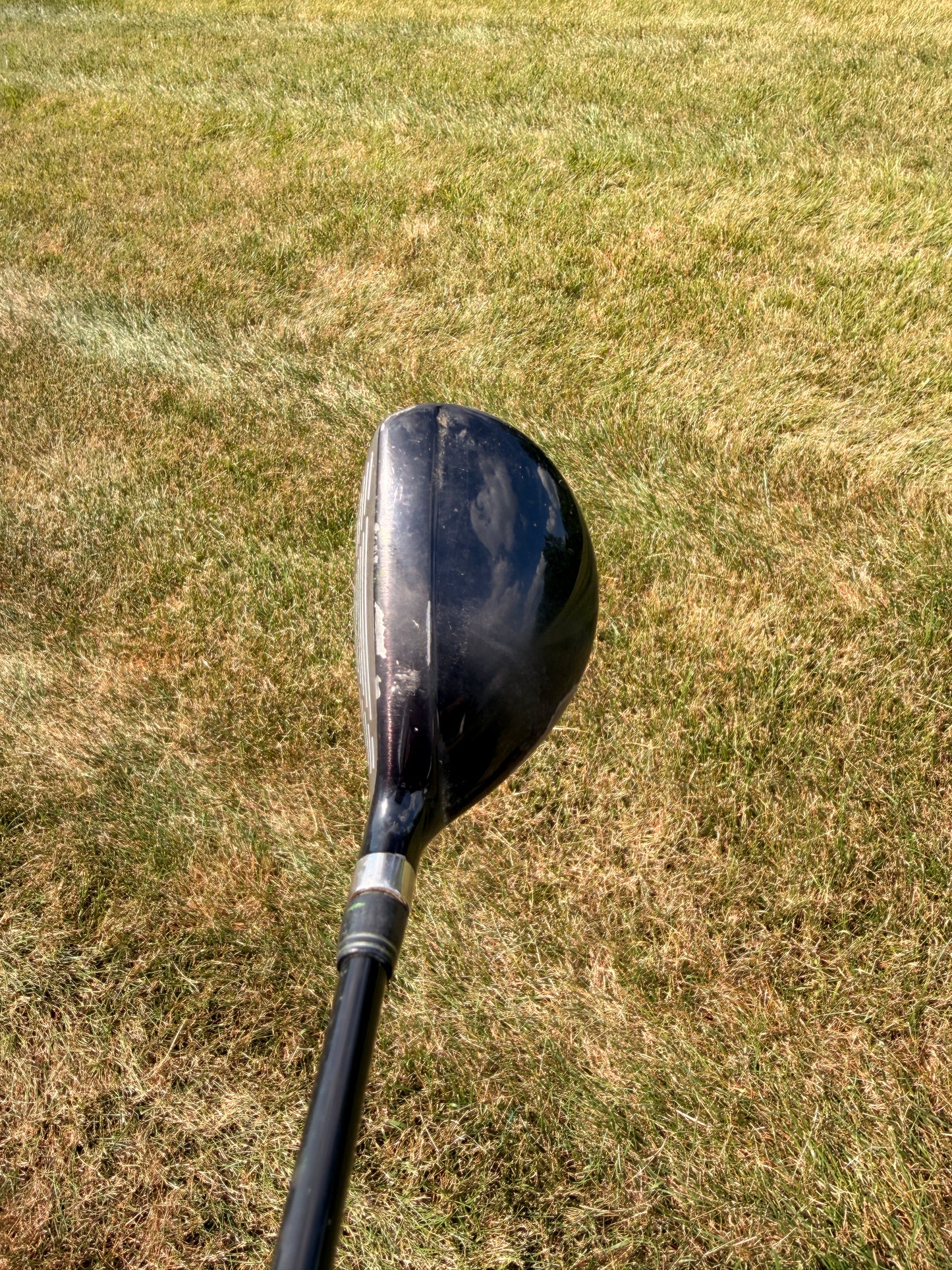 Cobra Baffler Rail H 3 Hybrid 19° Motore 65g Stiff Flex 40.5"