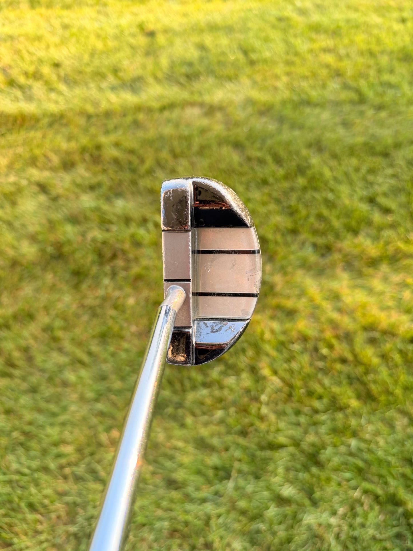 Never Compromise TDP 5.2 Putter 32.5"