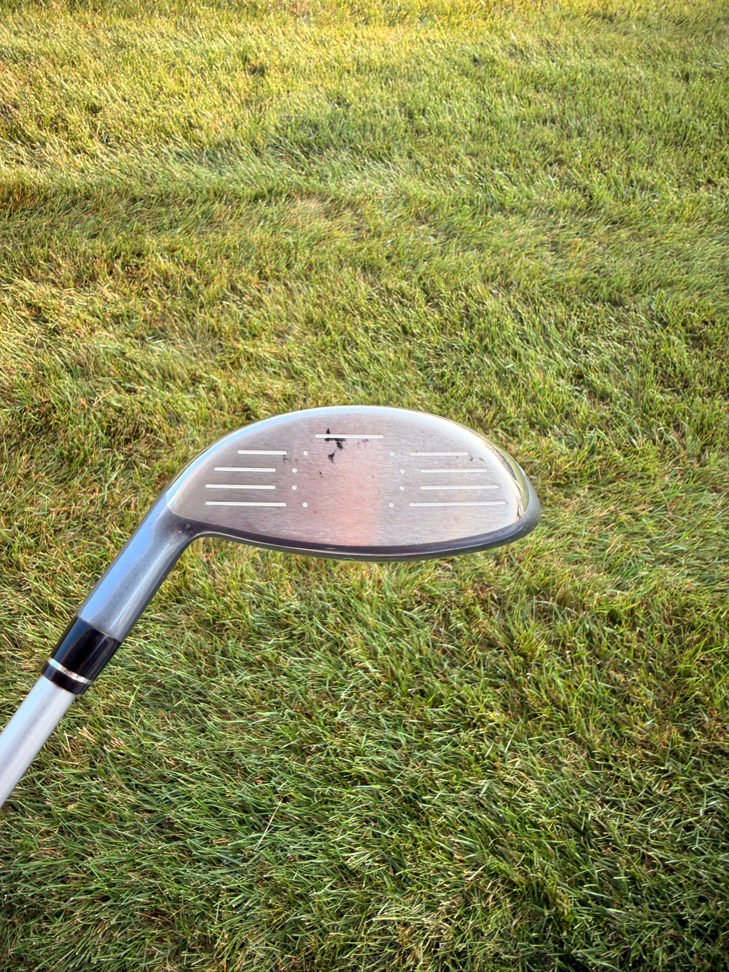 Callaway Solaire 7-Wood Stock Ladies Flex 40.75" +HC NICE