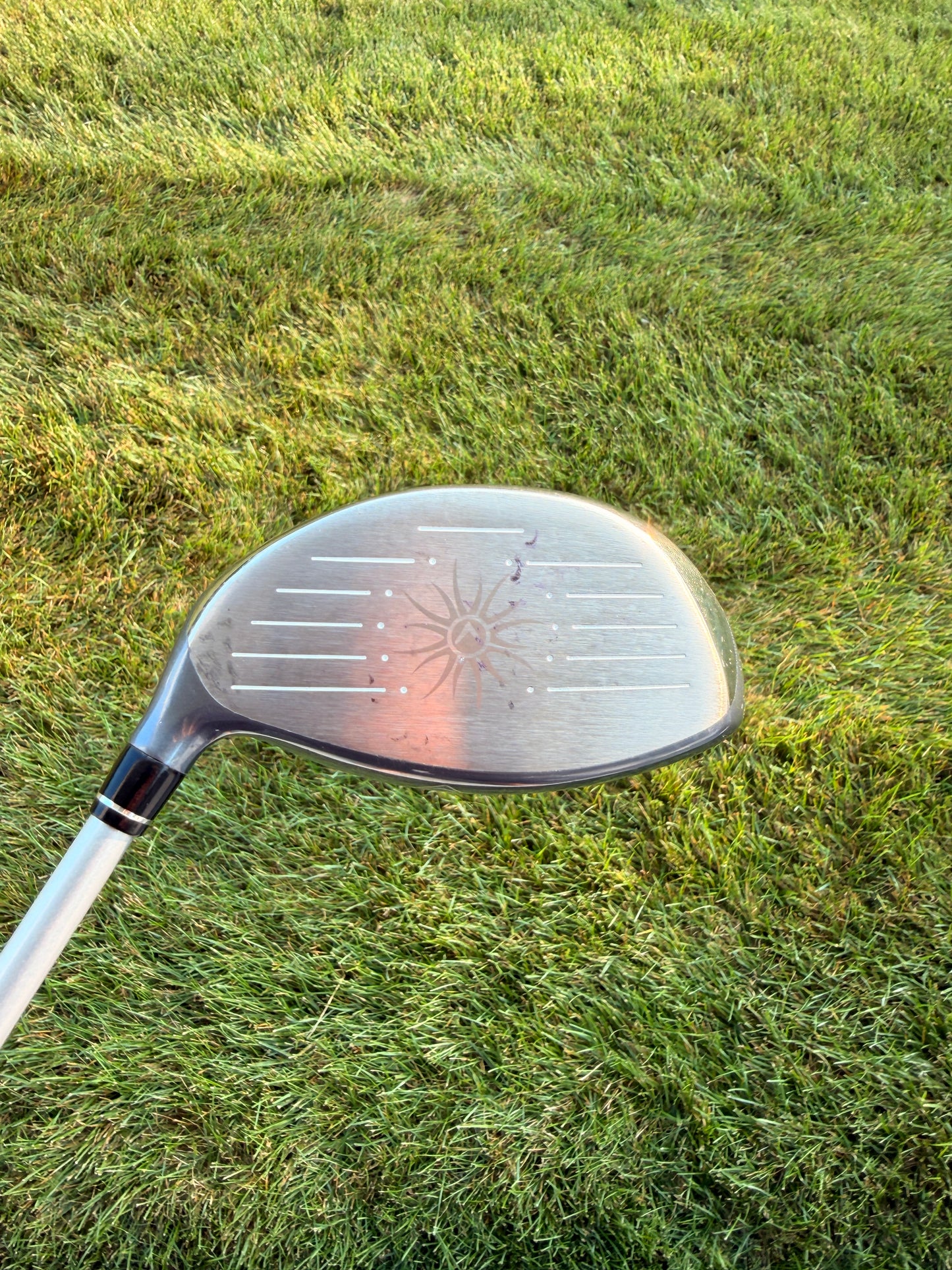 Callaway Solaire Driver 13.5° Stock Ladies Flex 44" +HC NICE