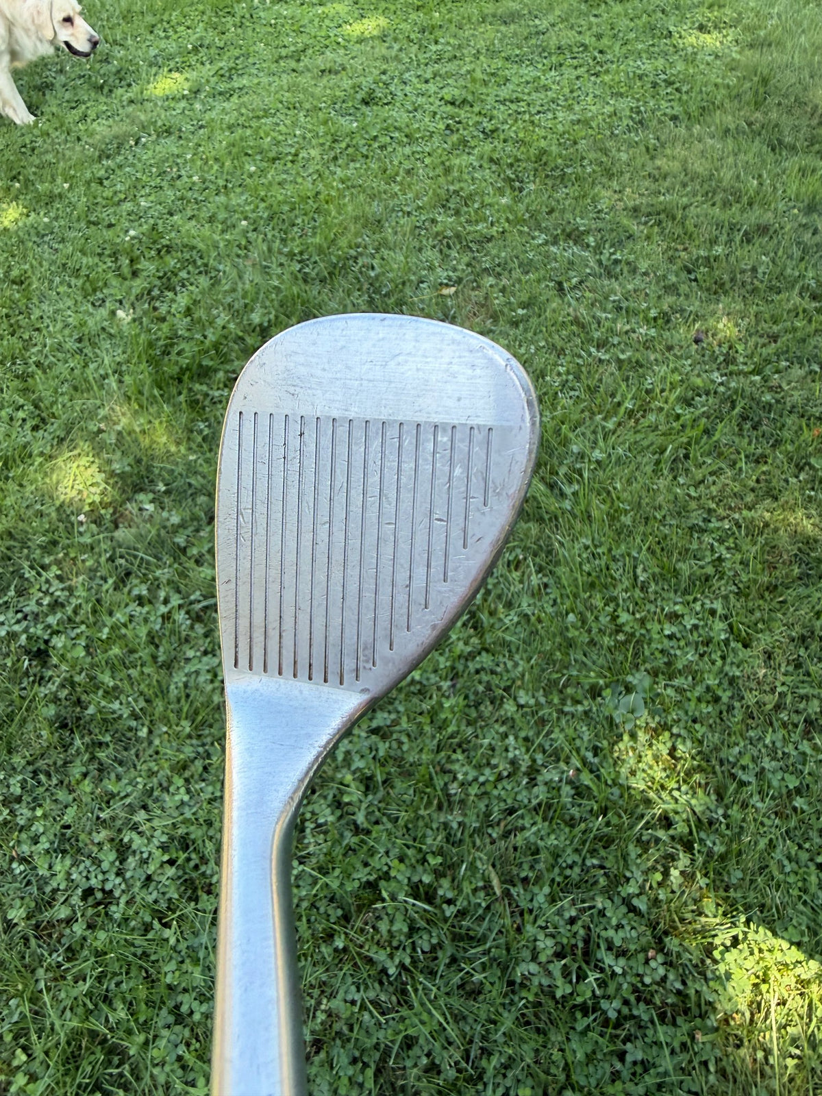 Cleveland 588 Chrome Lob Wedge 60° Dynamic Gold Stiff Flex 35" NICE — photo 3
