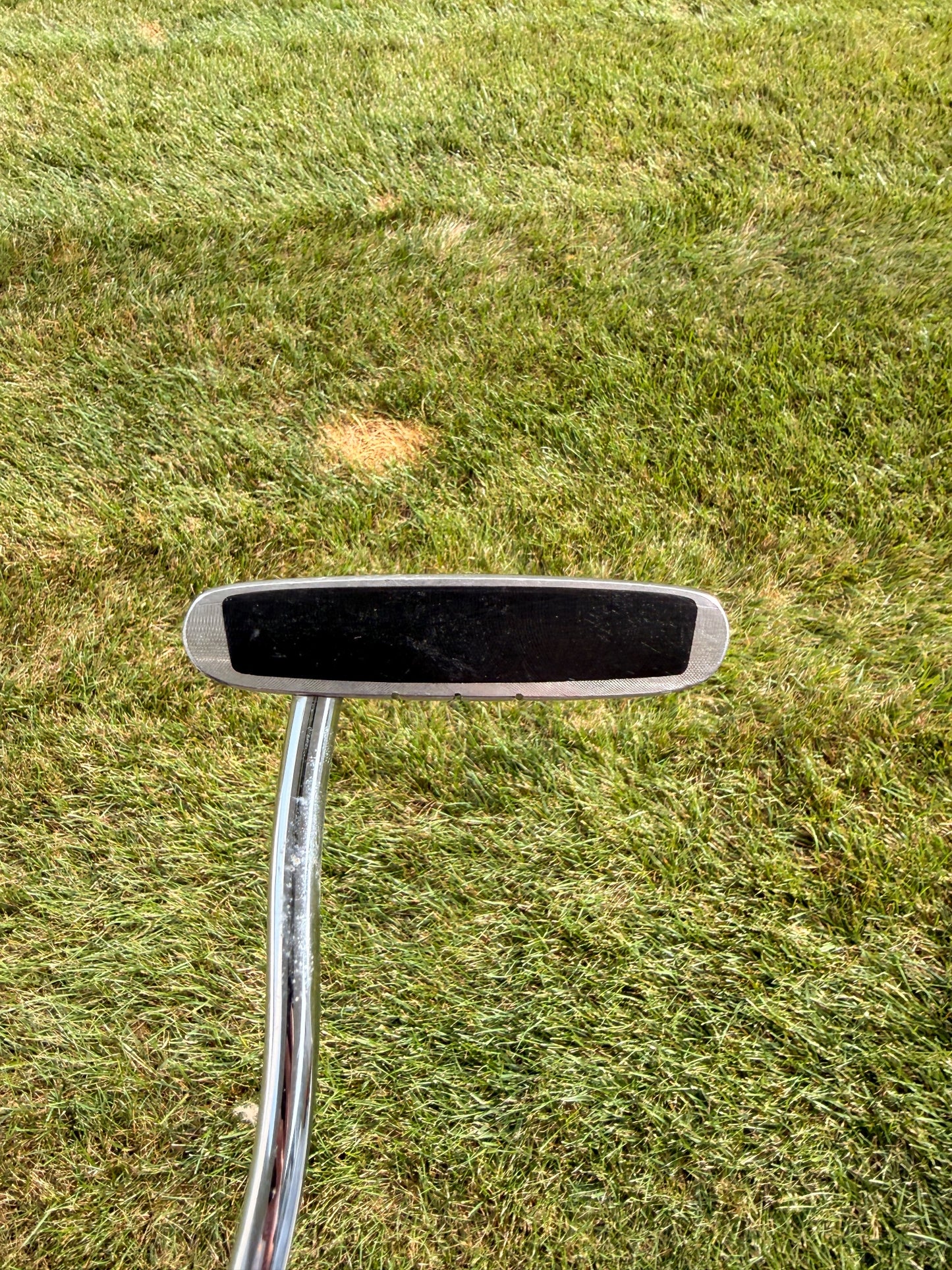 Odyssey Dual Force Rossie 1 Putter Stock 35" — photo 2