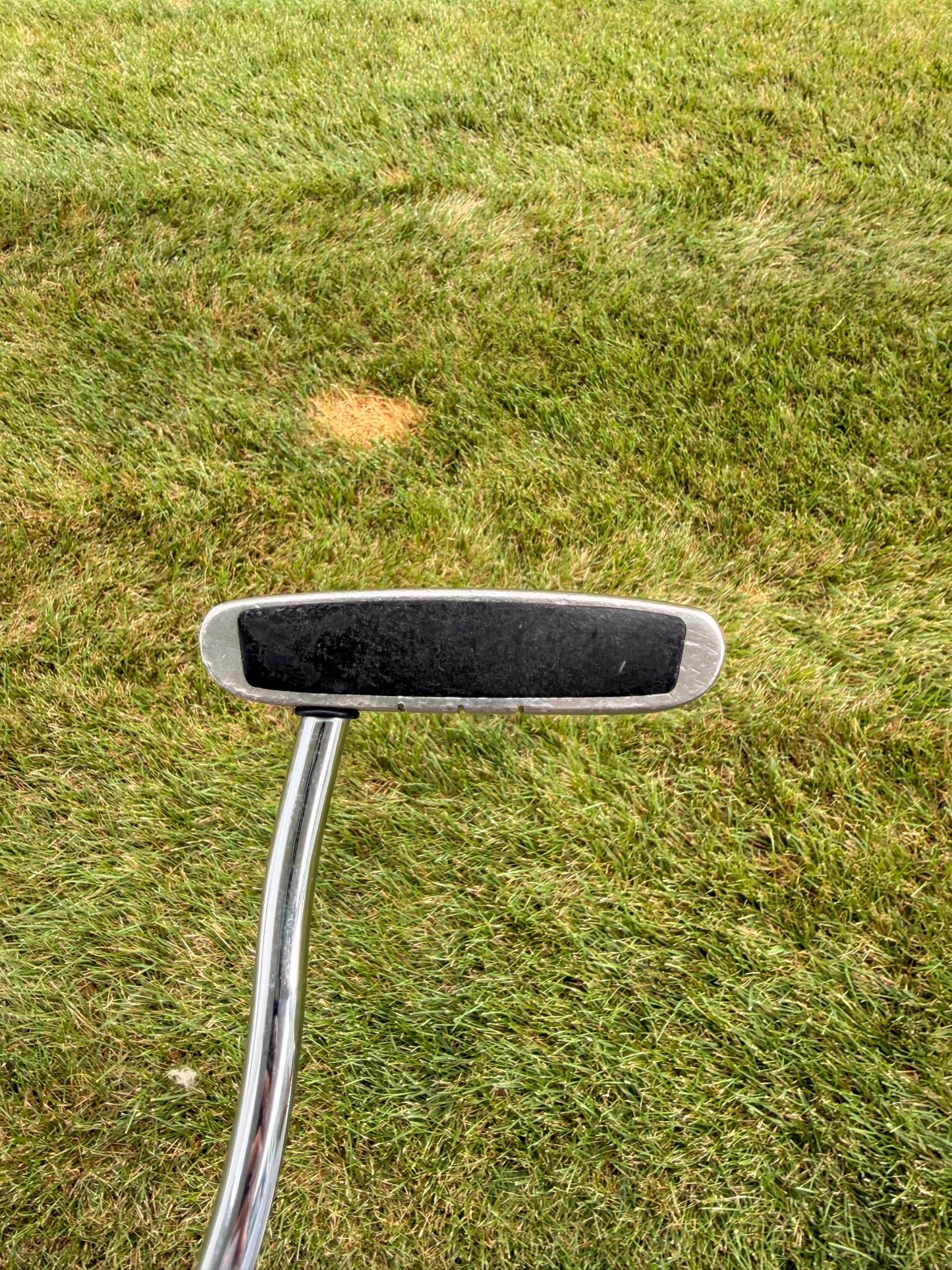Odyssey Dual Force Rossie 2 Putter Stock 35" +HC — photo 2