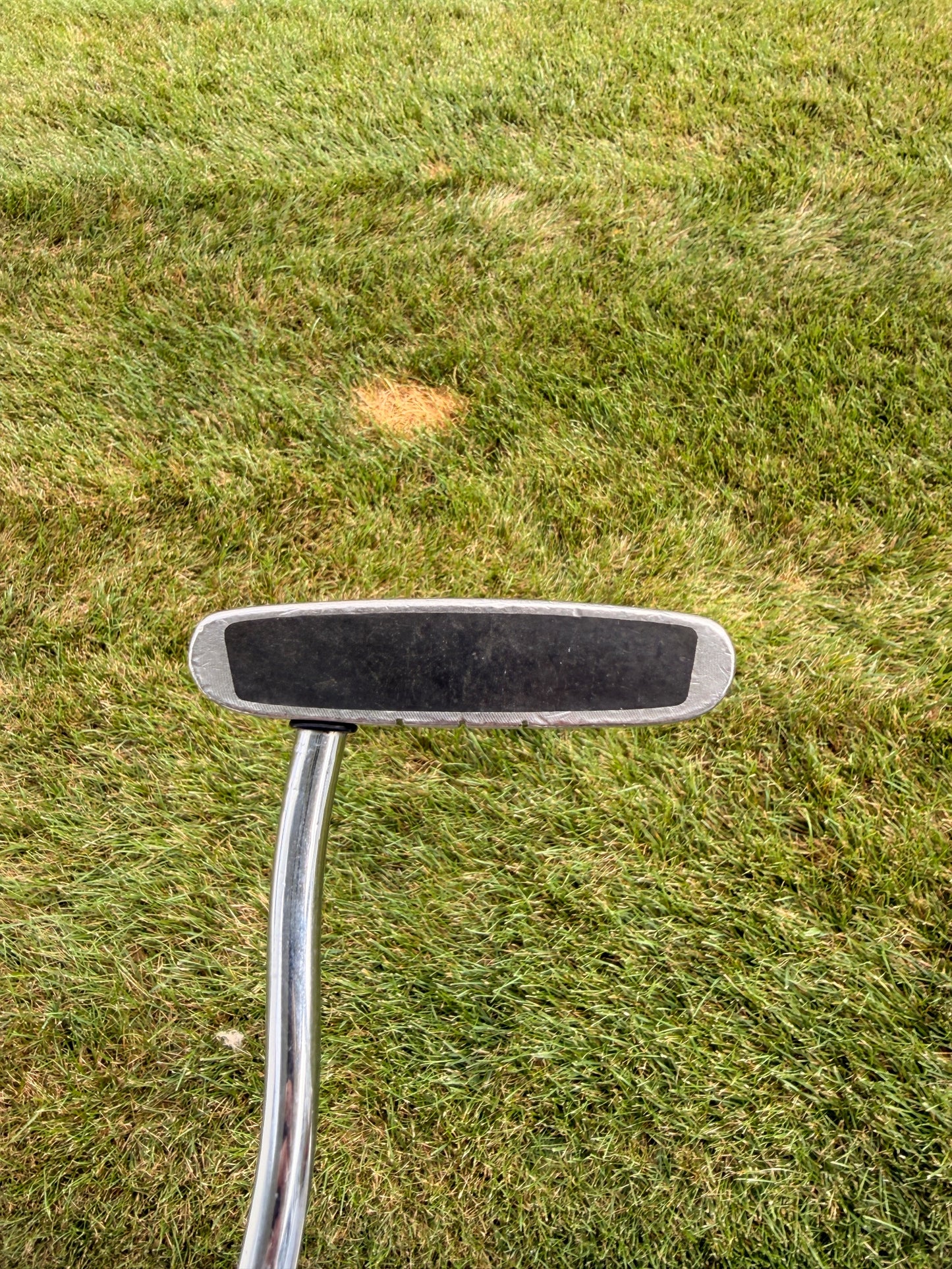 Odyssey Dual Force Rossie 2 Putter Stock 33" — photo 2