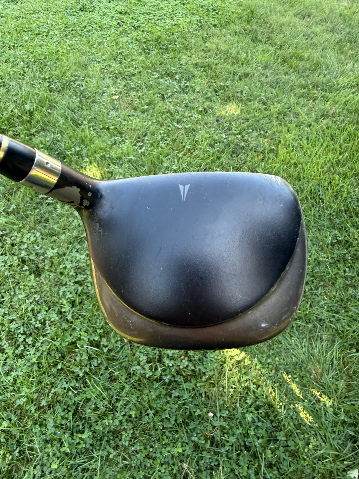 Nike Sasquatch Sumo 2 7-Wood 21° Diamana Regular Flex 41.25" — photo 4