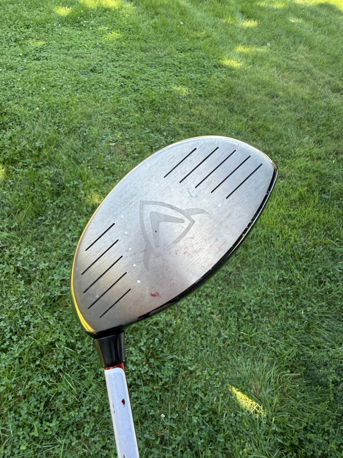 Callaway Big Bertha Diablo Draw Driver 10° Aldila Diablo DVS Regular Flex 44.5" — photo 2