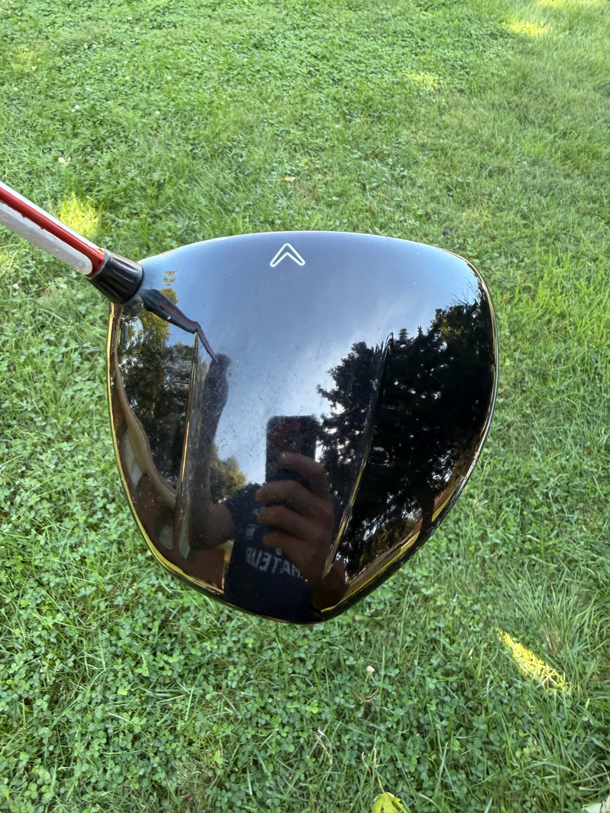 Callaway Big Bertha Diablo Draw Driver 10° Aldila Diablo DVS Regular Flex 44.5" — photo 4