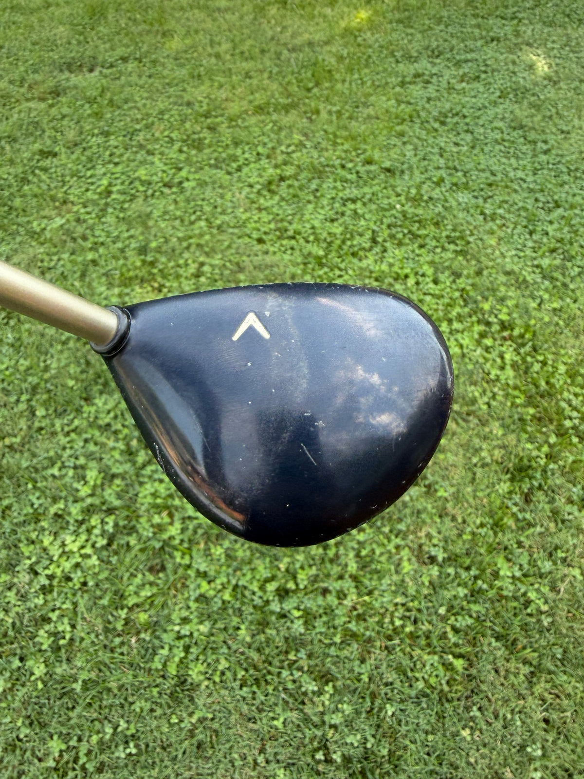 Callaway Steelhead Plus 7-Wood Gems Ladies Flex 41" — photo 4