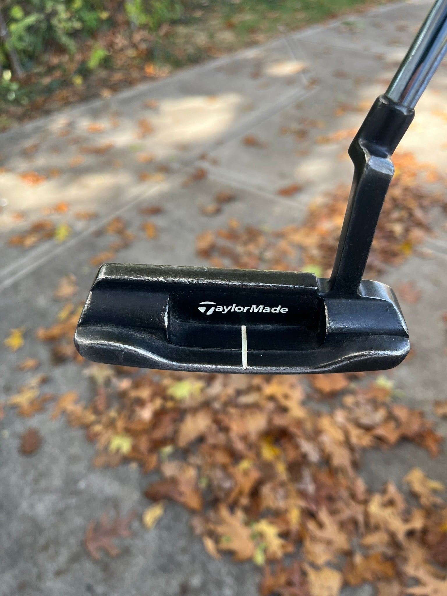 Photo of Taylormade EST 79 Series TM-110 Putter