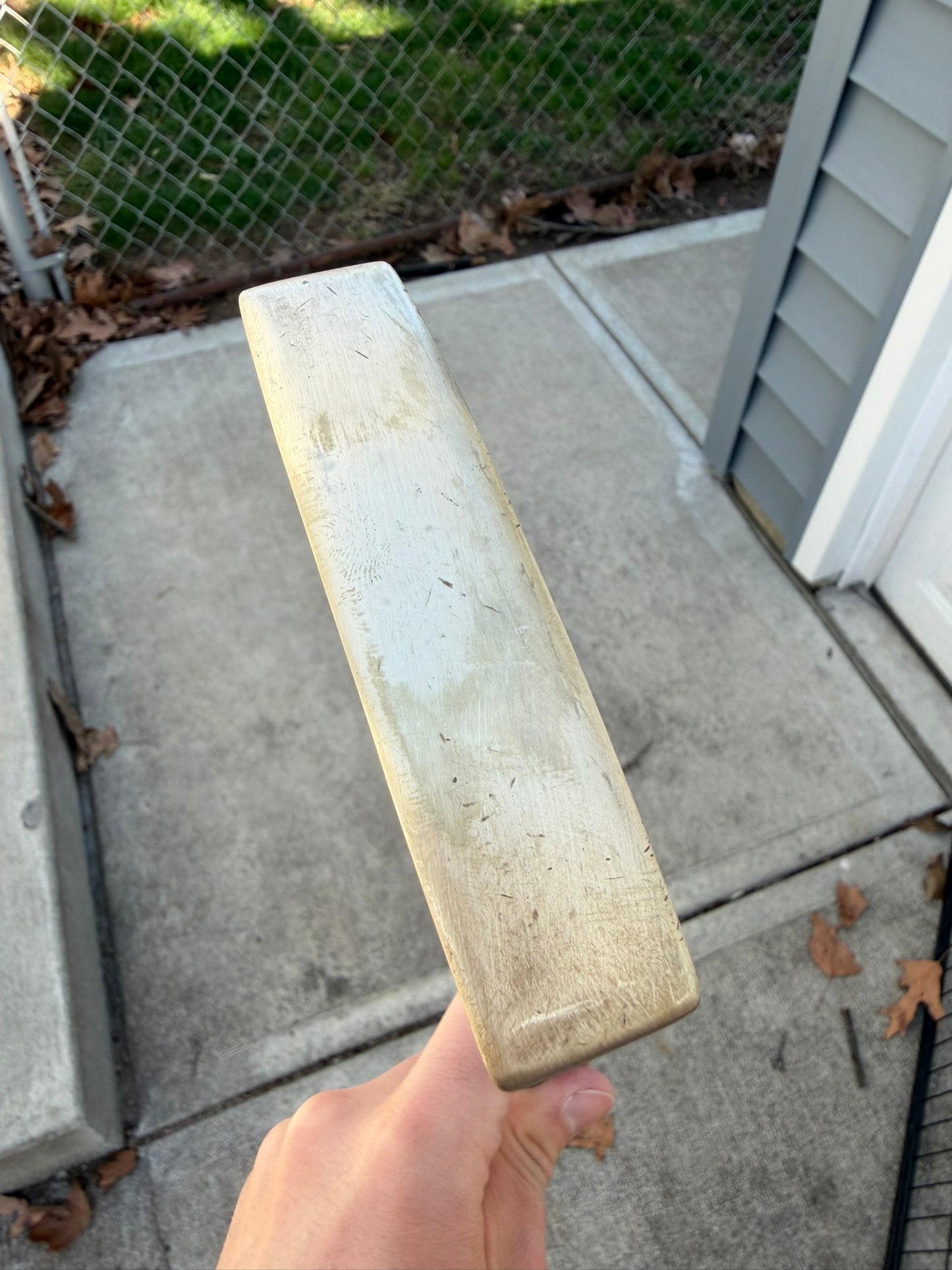 Photo of Ping Pal Putter