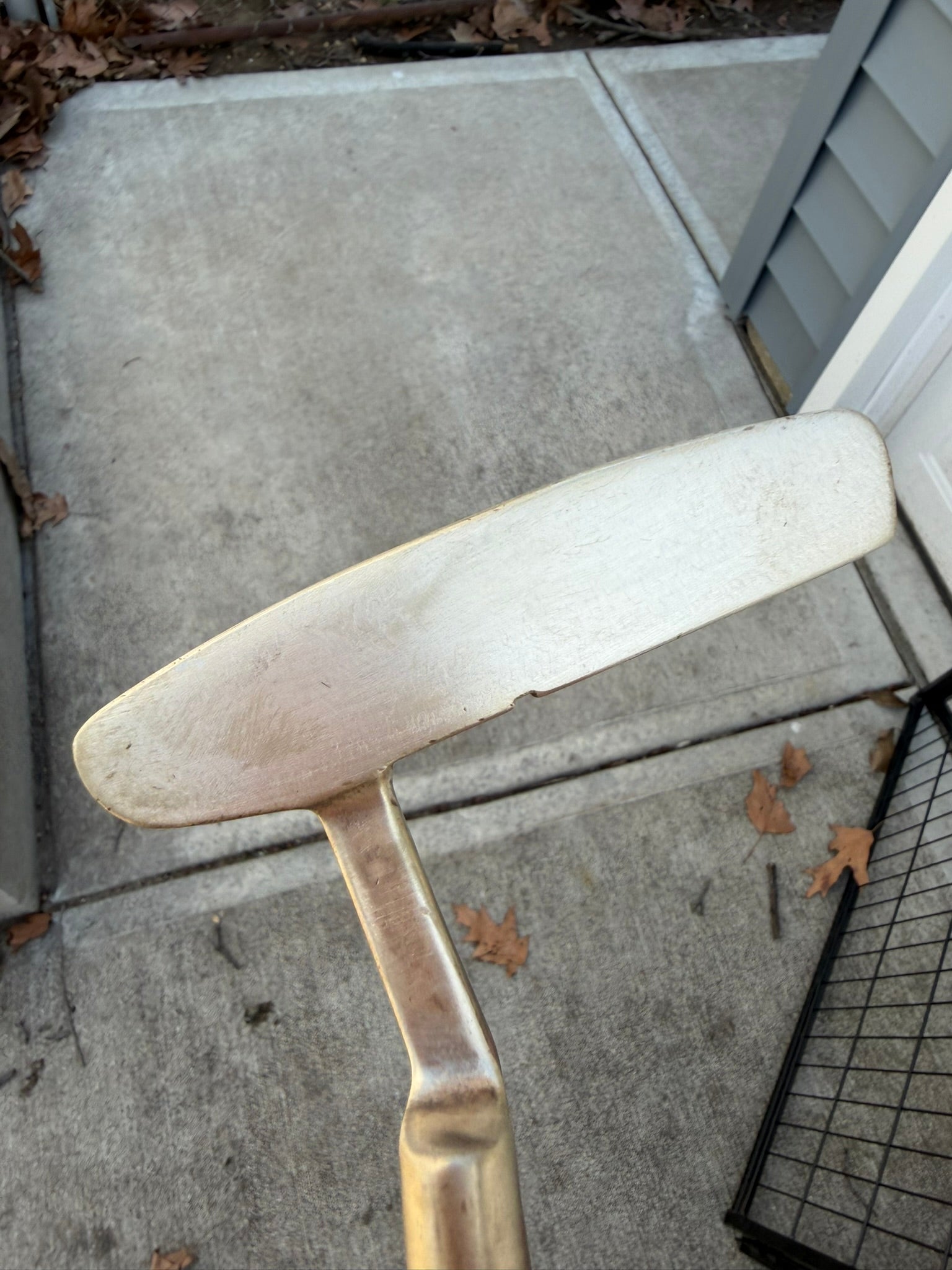 Photo of Ping Pal Putter