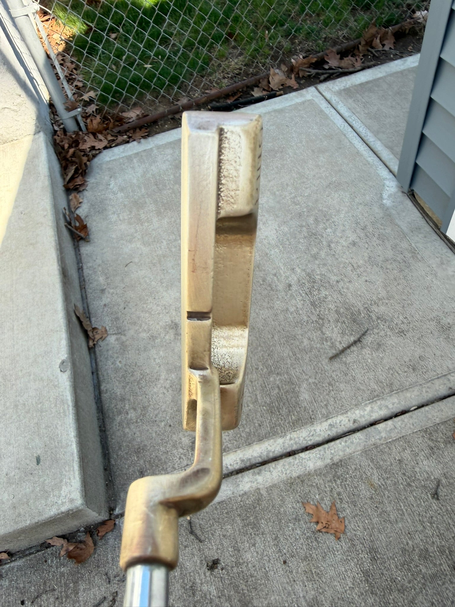 Photo of Ping Pal Putter