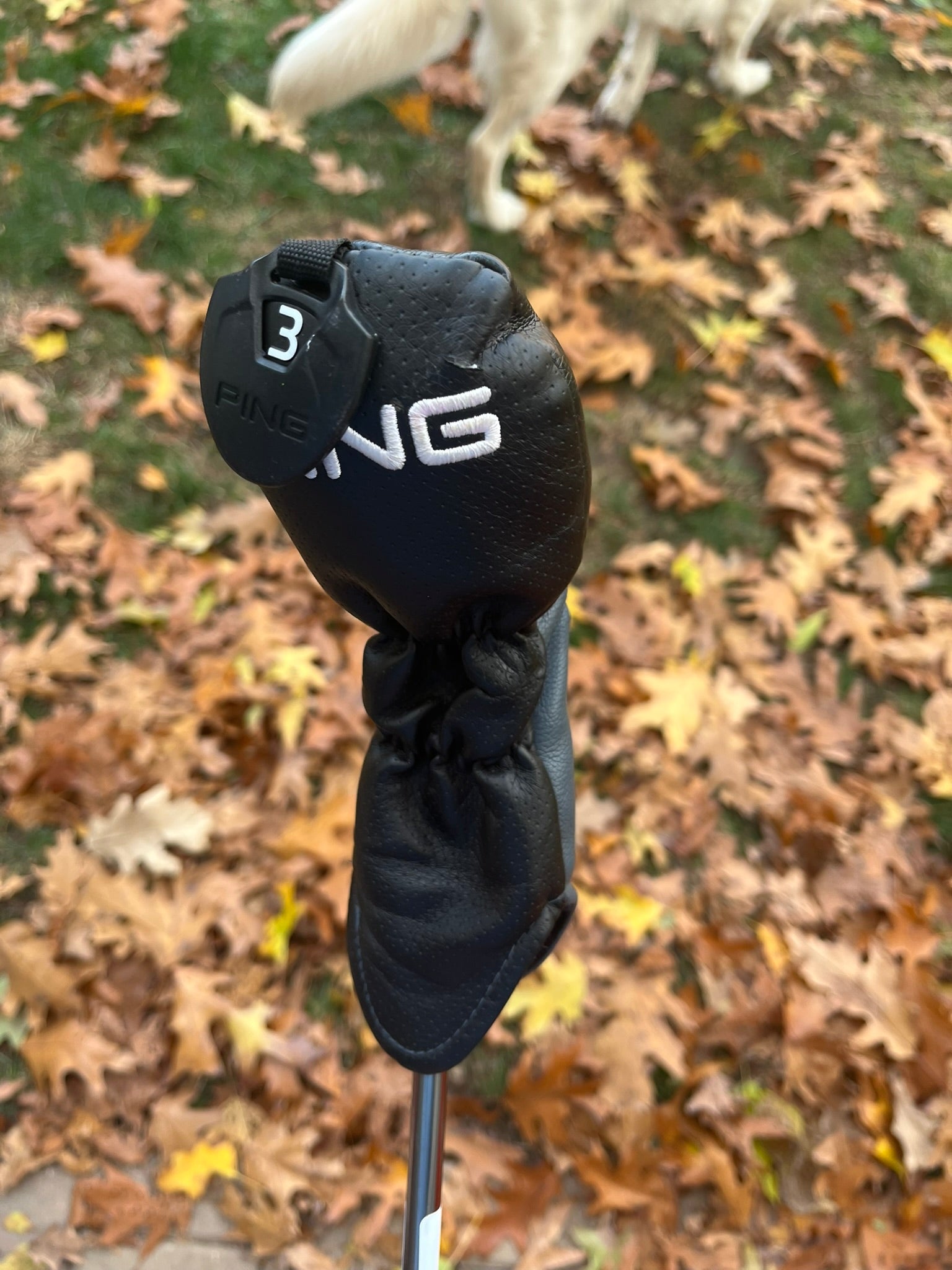 Photo of Callaway Rogue 4 Hybrid 21° Regular Flex Recoil