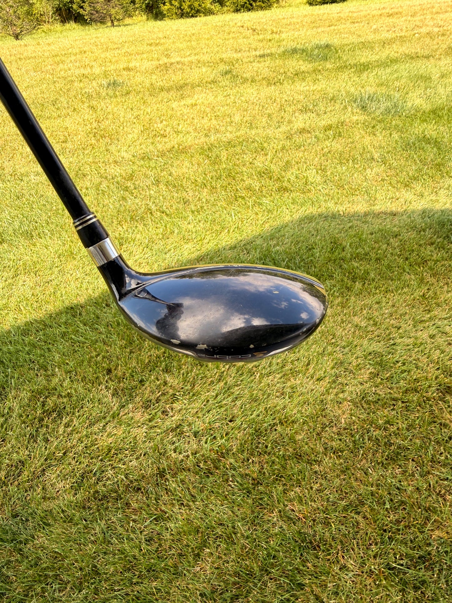 Cobra Baffler Rail H 4 Hybrid 22° Motore 65g Stiff Flex 40" — photo 4