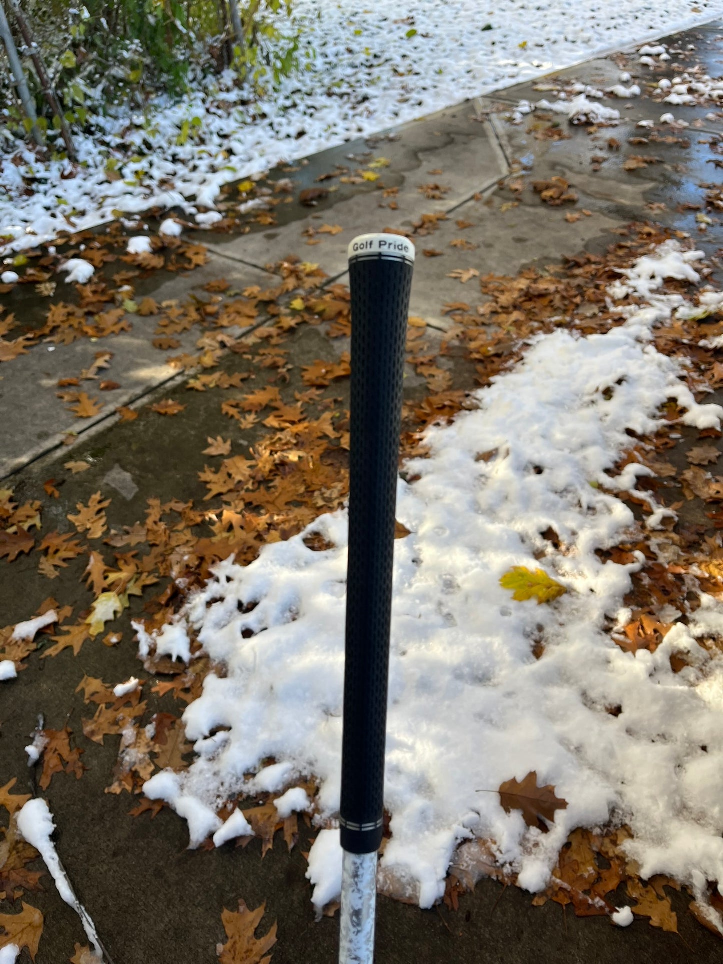 Photo of Callaway Elyte Driver 10.5° Regular Flex Denali 50